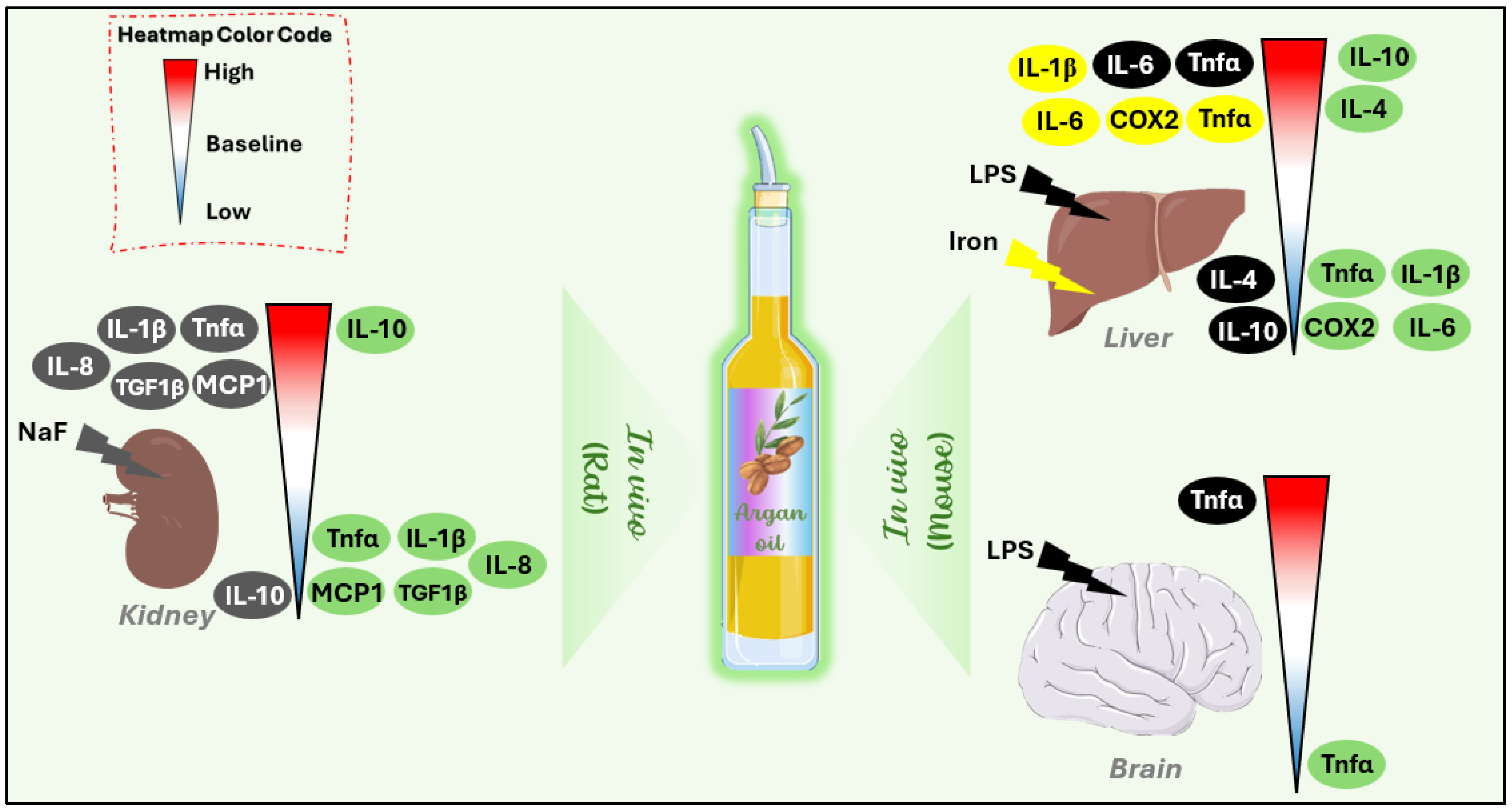 Antioxidants 14 00515 g002