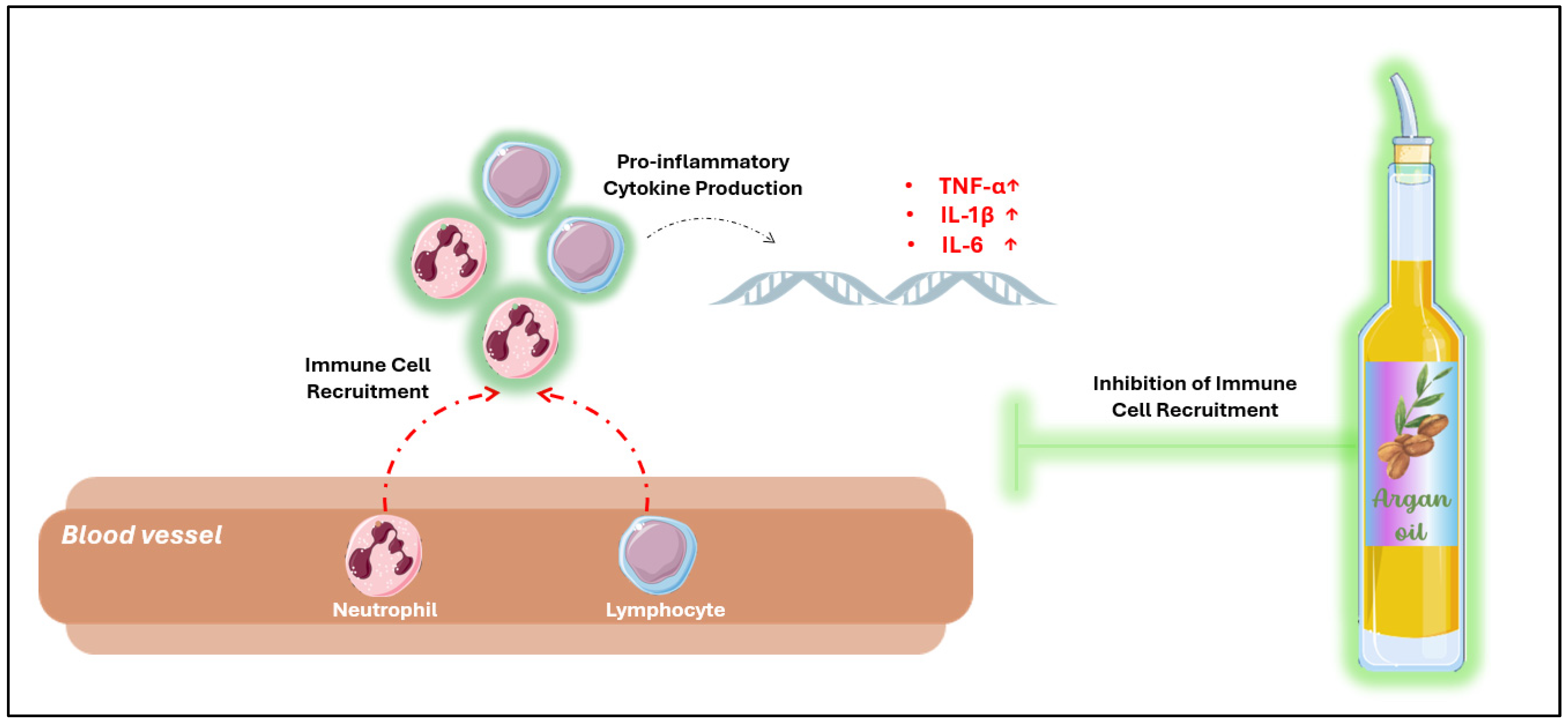 Antioxidants 14 00515 g003