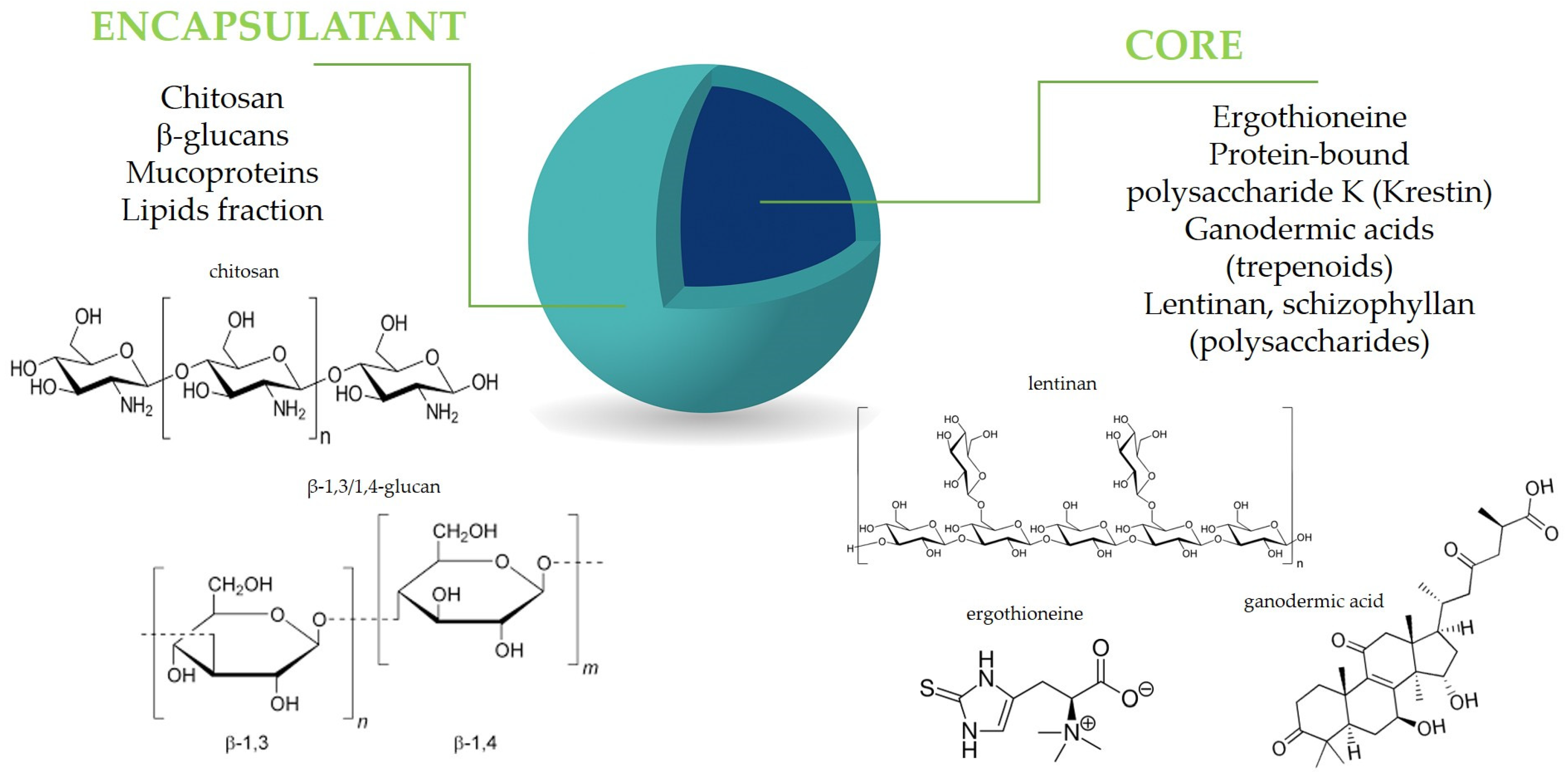 Antioxidants 14 00519 g002