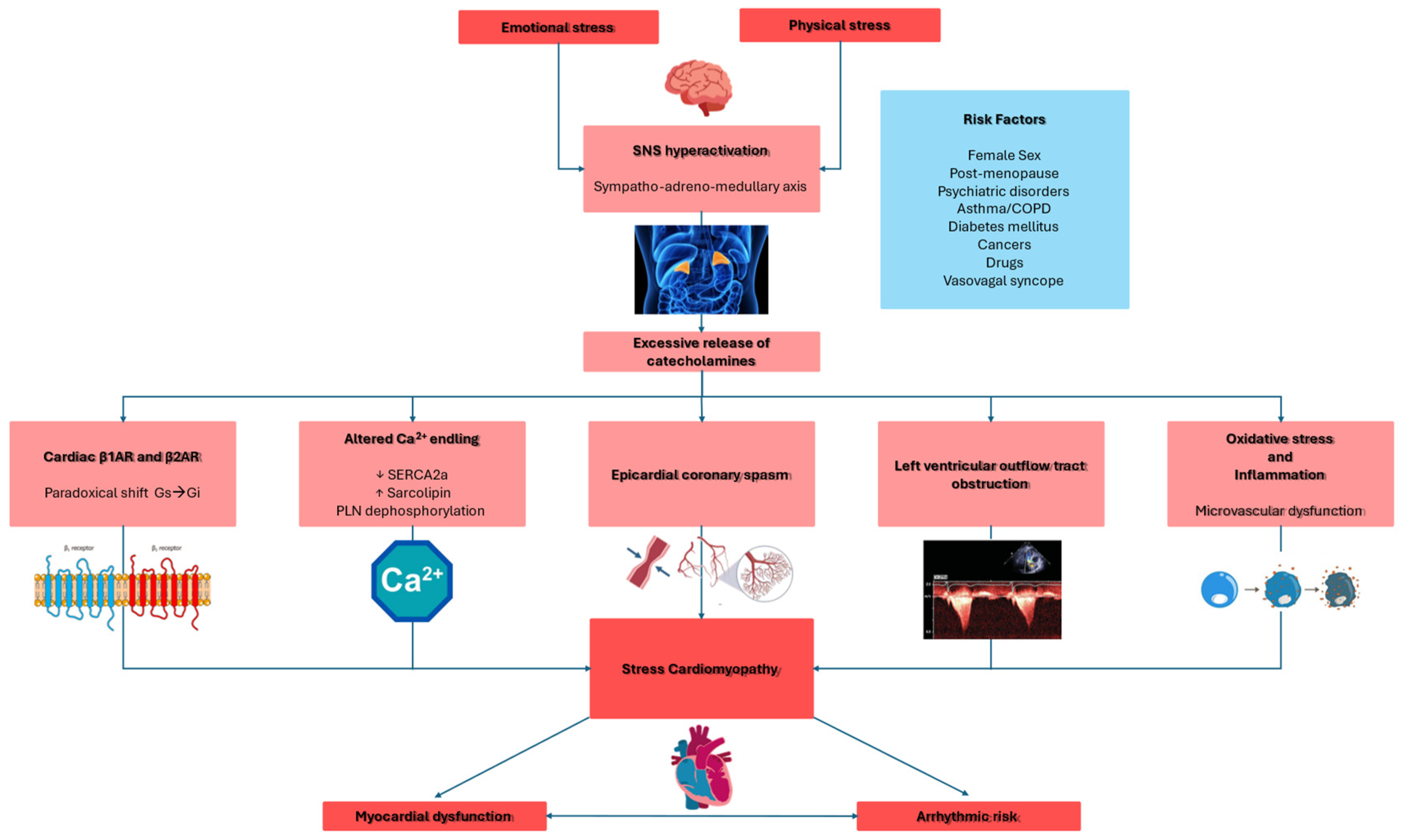 Antioxidants 14 00522 g001