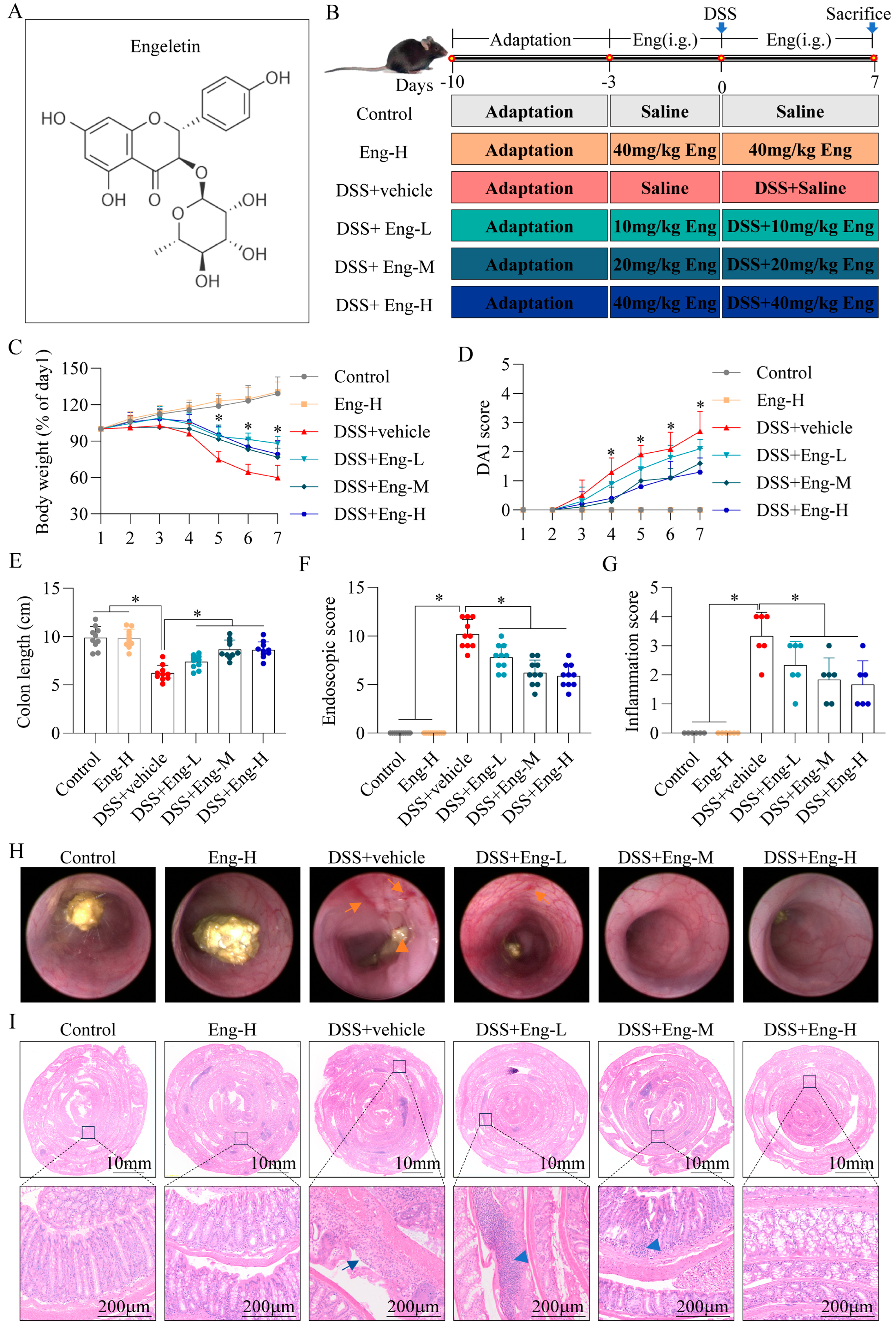 Antioxidants 14 00524 g001