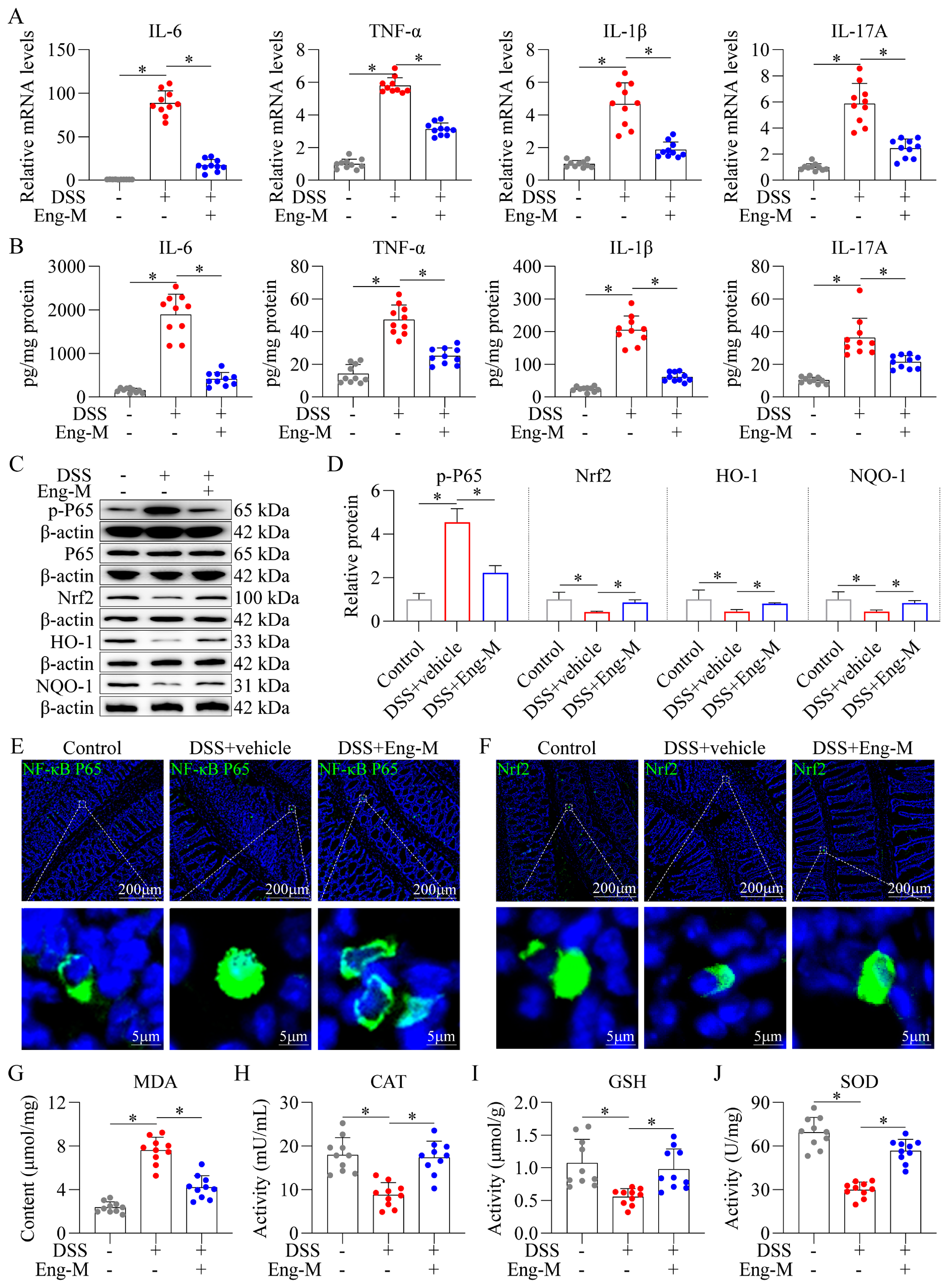 Antioxidants 14 00524 g002