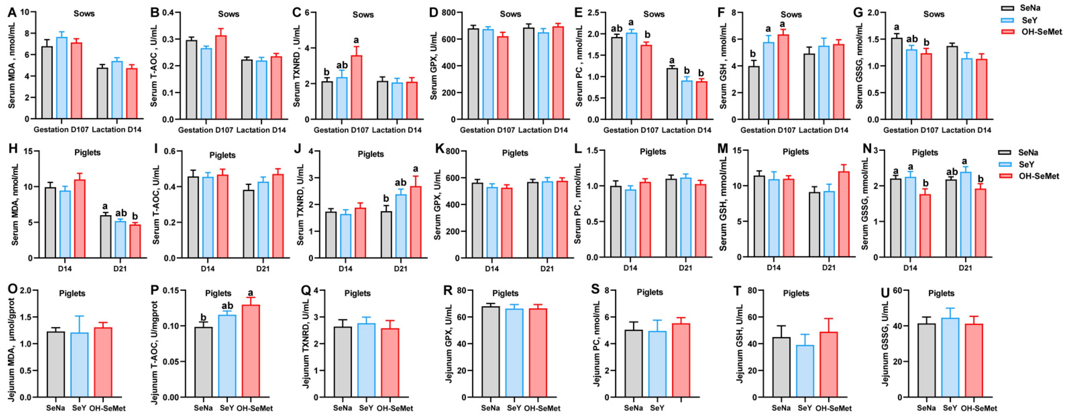 Antioxidants 14 00525 g001