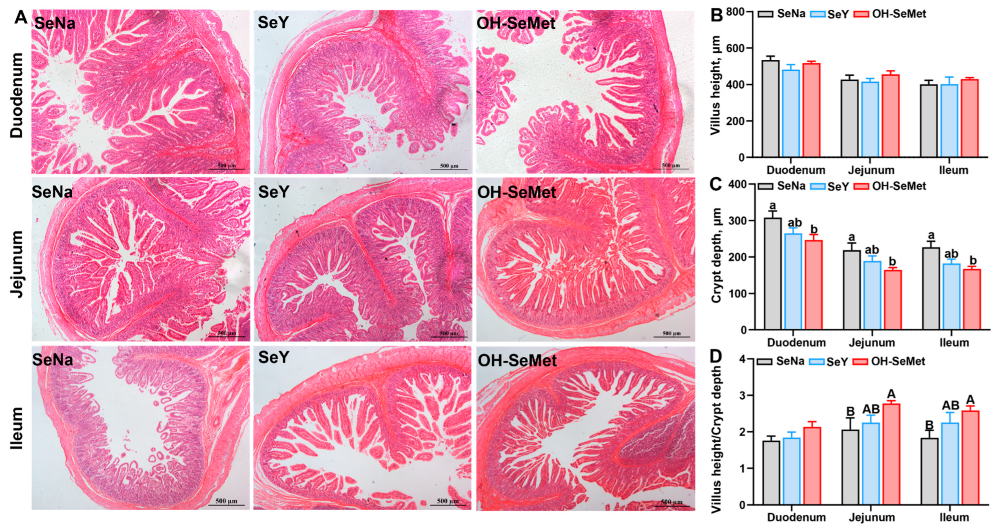 Antioxidants 14 00525 g004