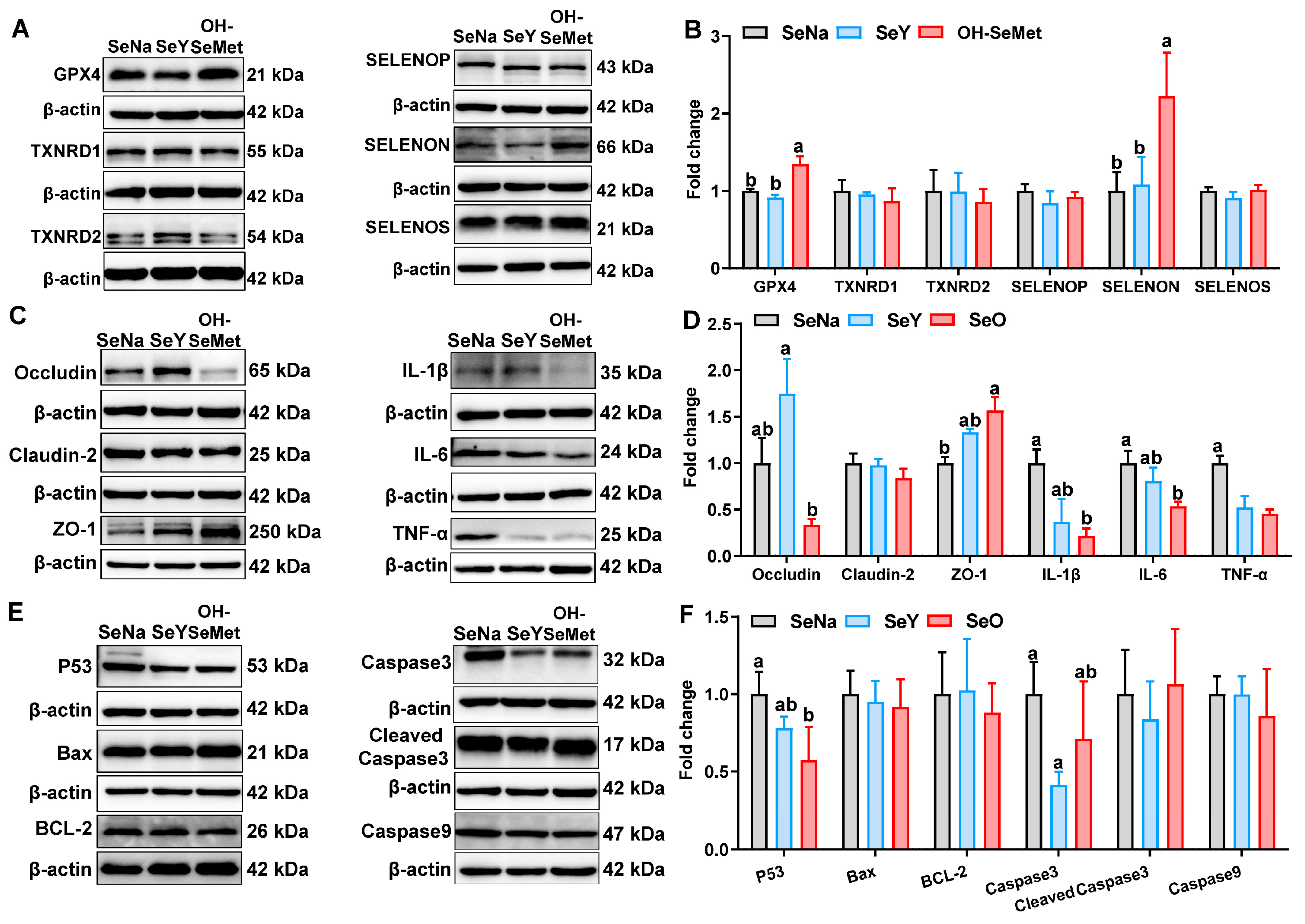 Antioxidants 14 00525 g006