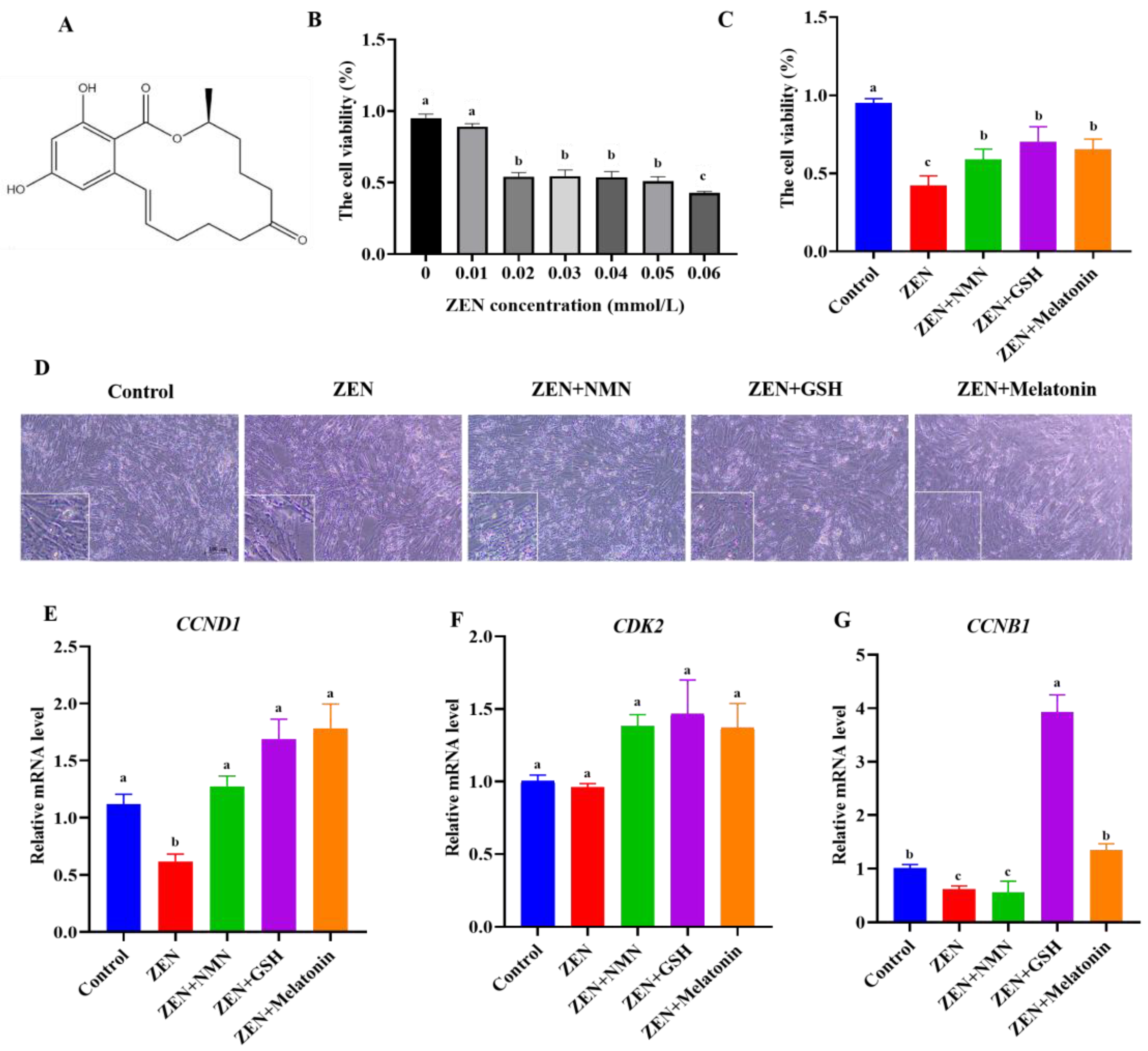Antioxidants 14 00528 g001