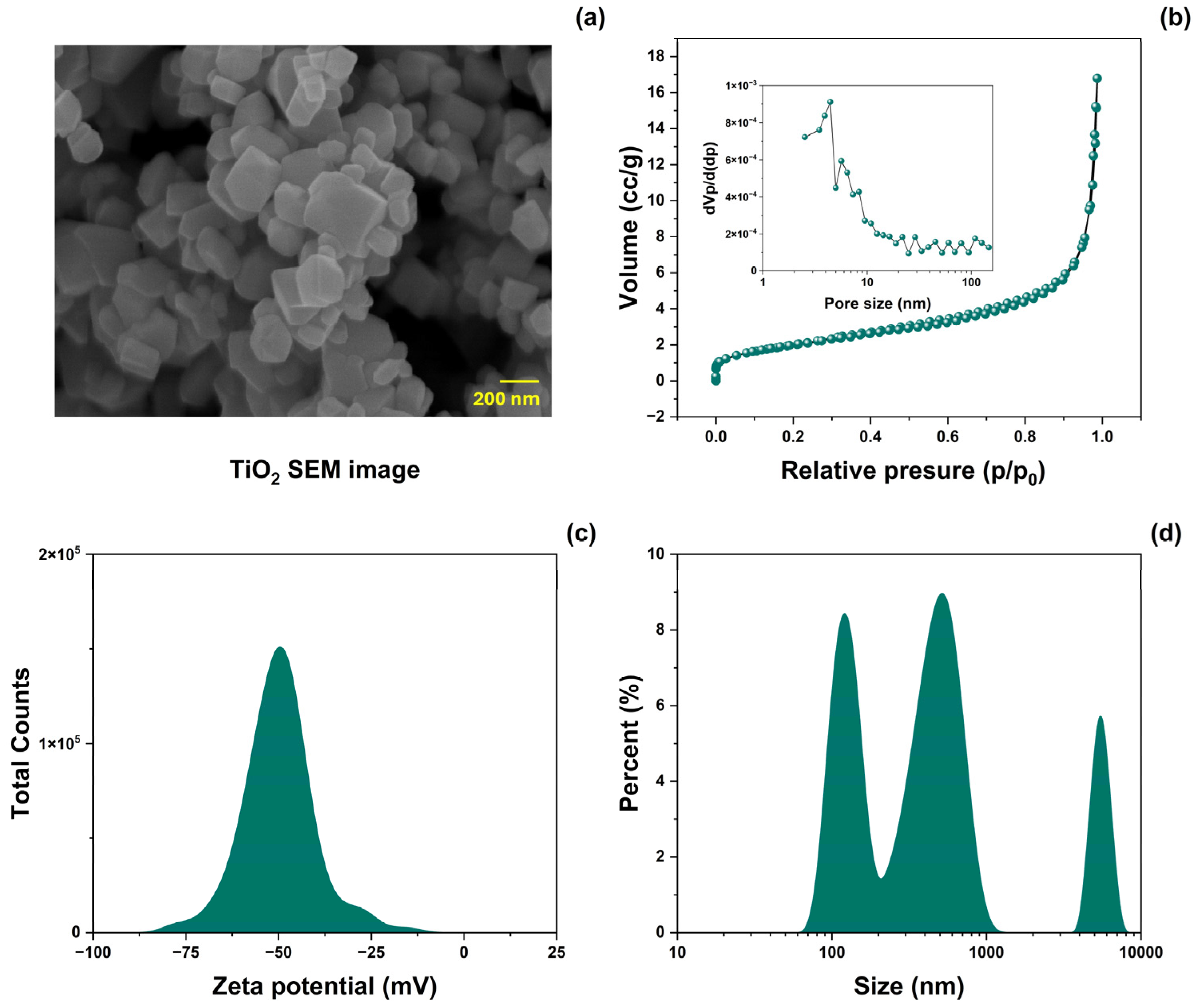 Antioxidants 14 00707 g002