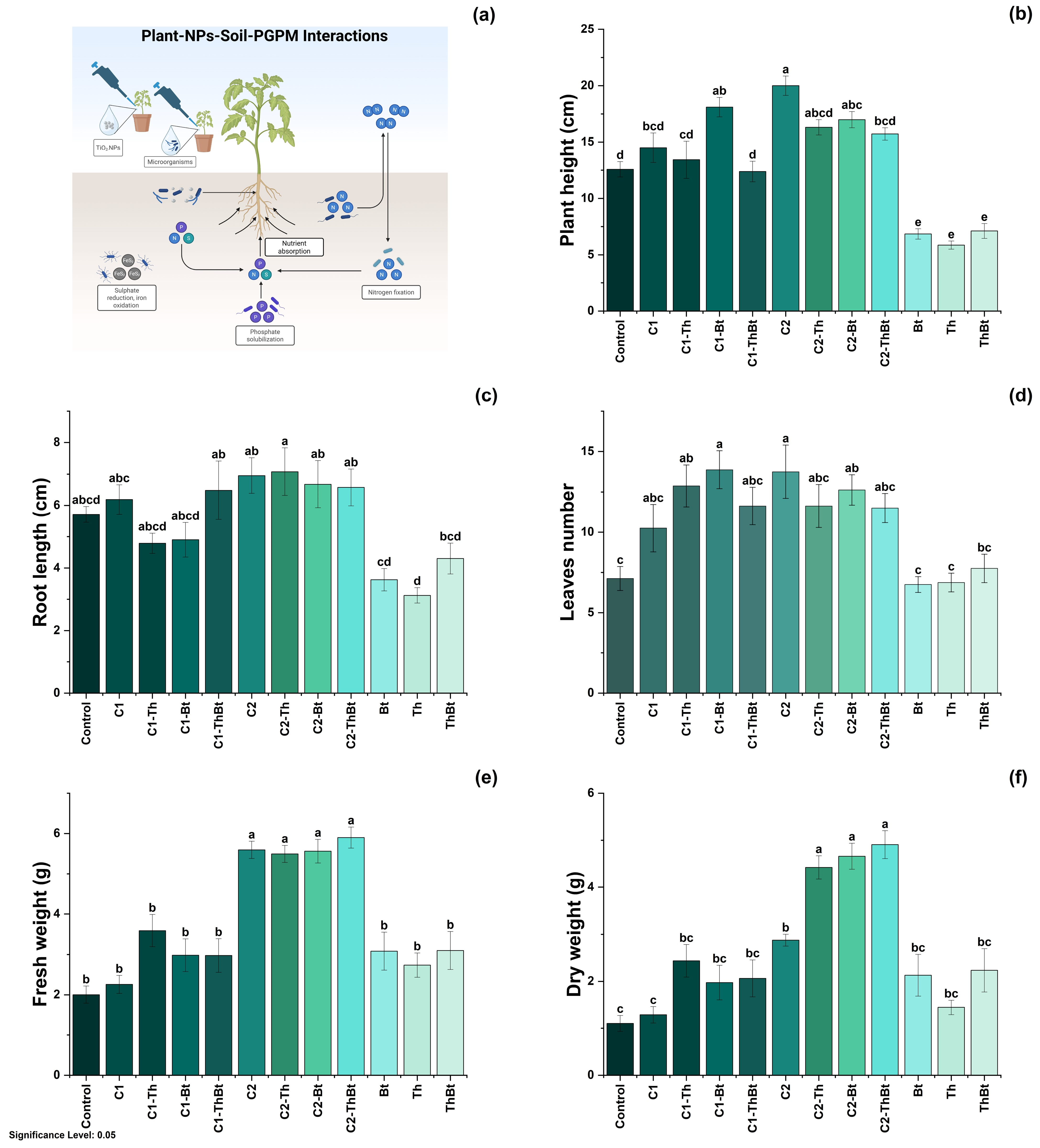 Antioxidants 14 00707 g004