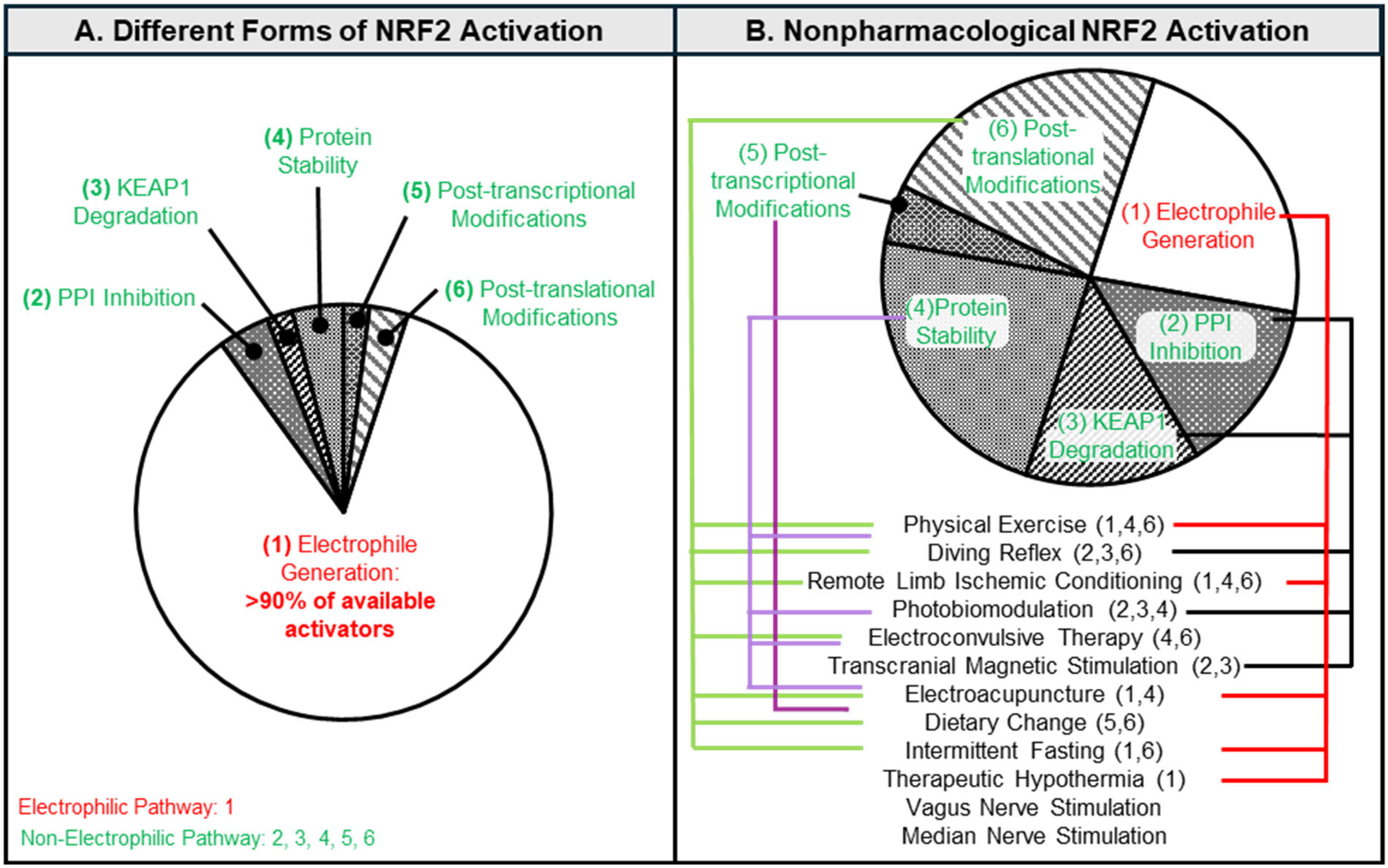 Antioxidants 14 01047 g002 Antioxidants 14 01047 g002