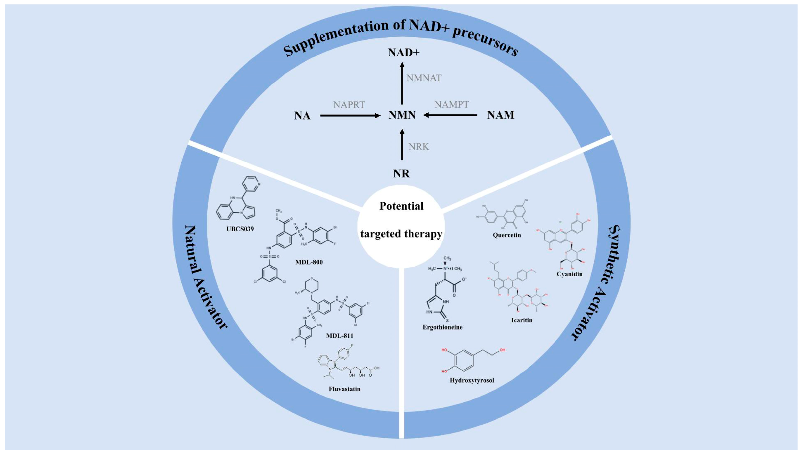 Antioxidants 14 01228 g006 Antioxidants 14 01228 g006
