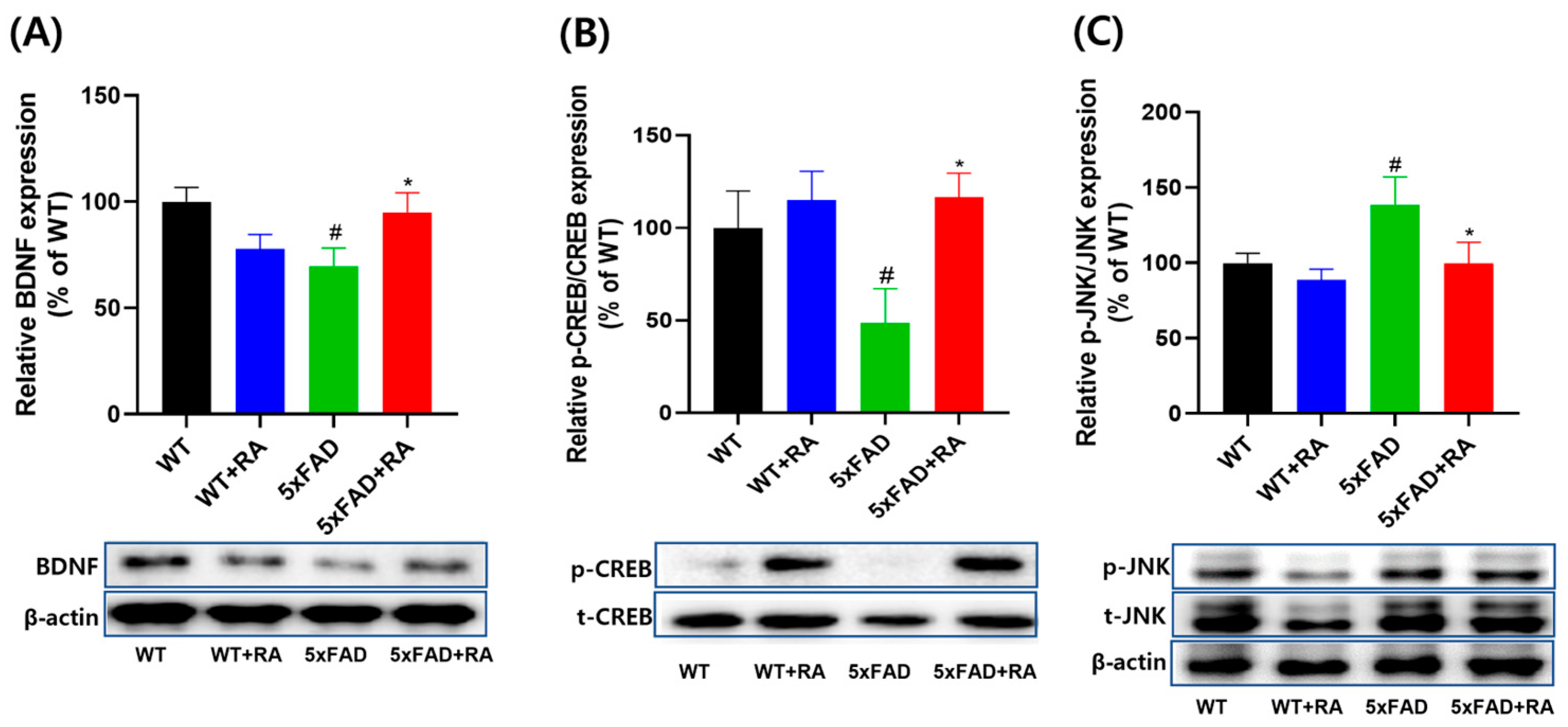Antioxidants 14 01250 g006 Antioxidants 14 01250 g006