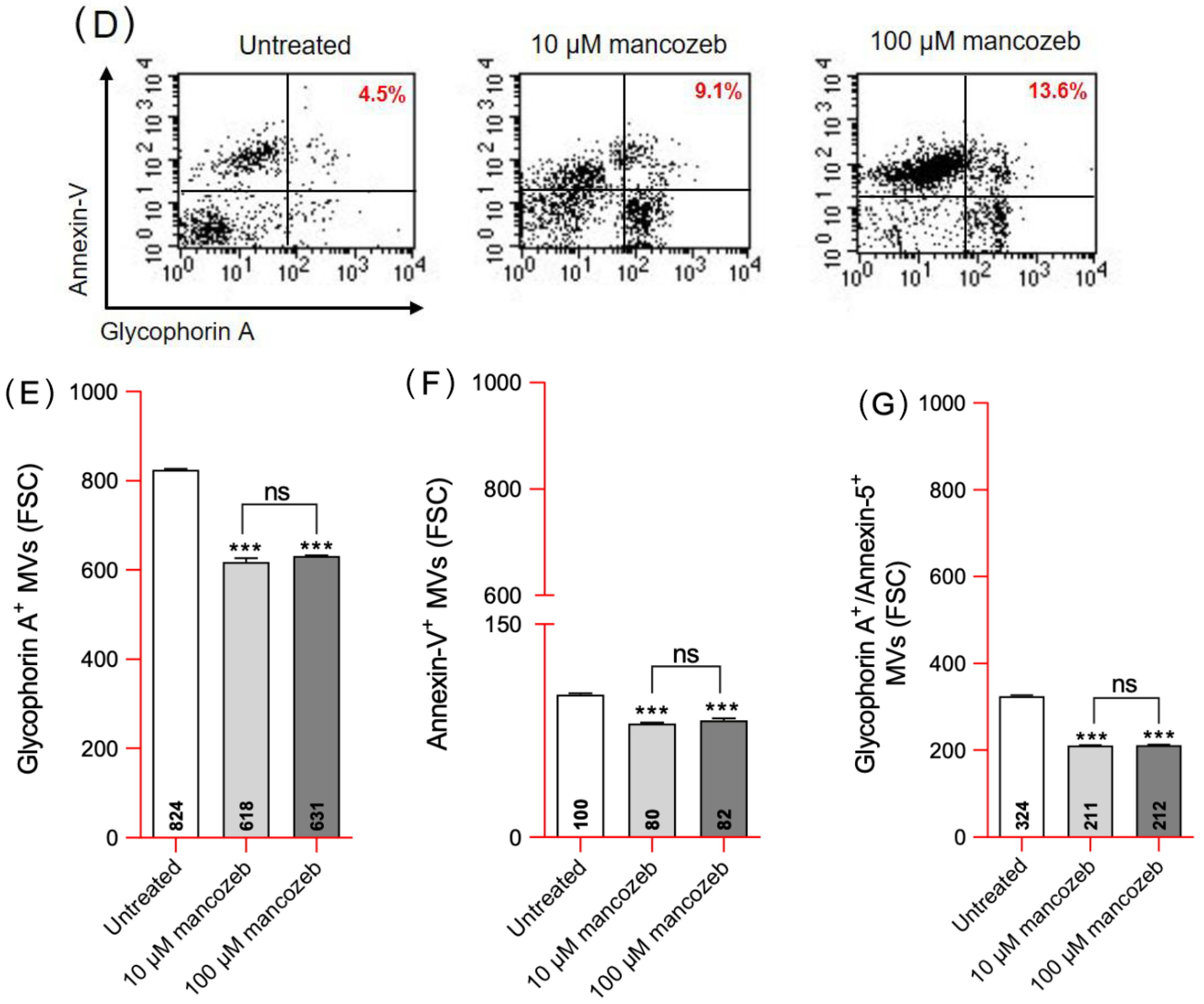 Antioxidants 14 01274 g002b Antioxidants 14 01274 g002b
