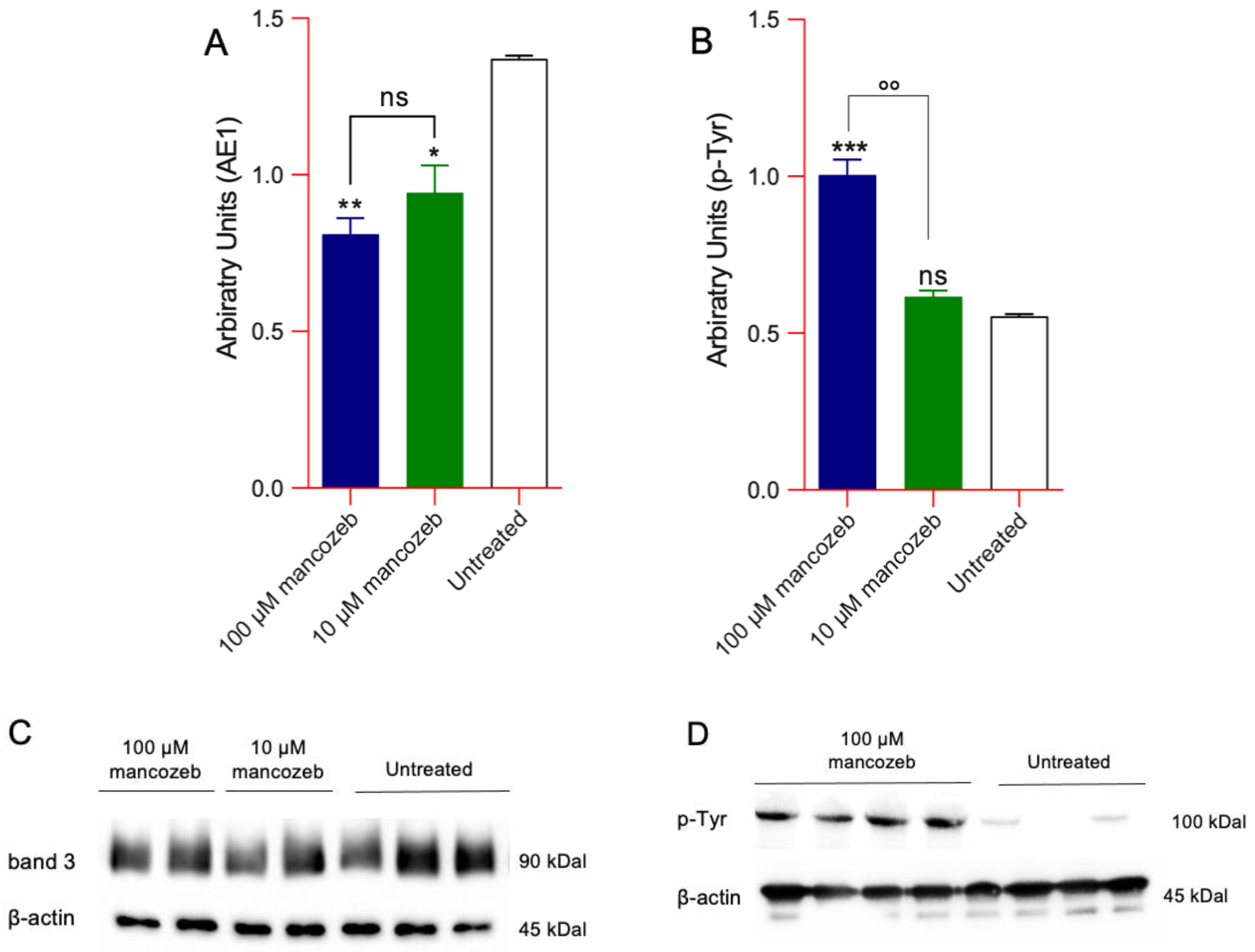 Antioxidants 14 01274 g010 Antioxidants 14 01274 g010