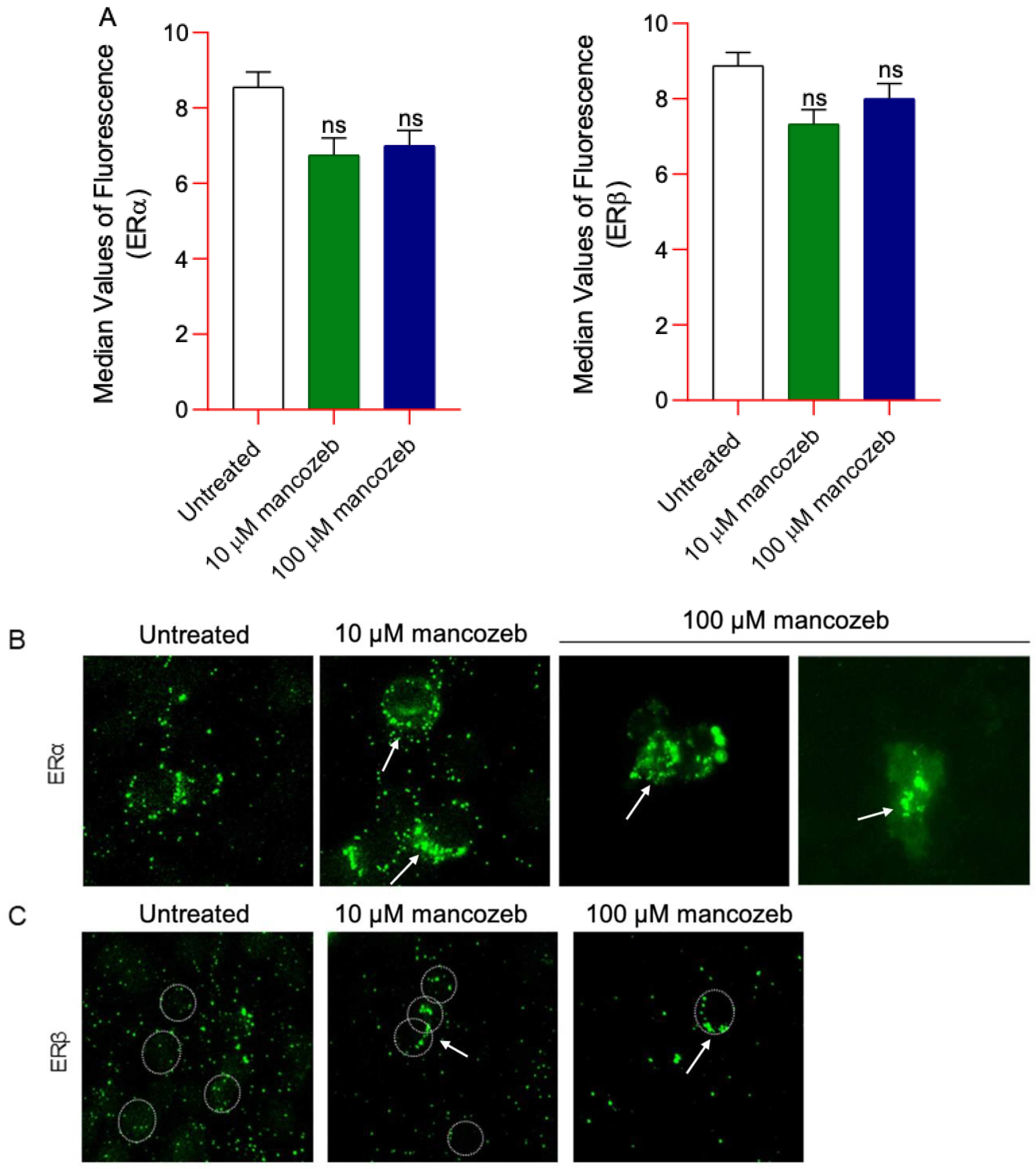 Antioxidants 14 01274 g014 Antioxidants 14 01274 g014