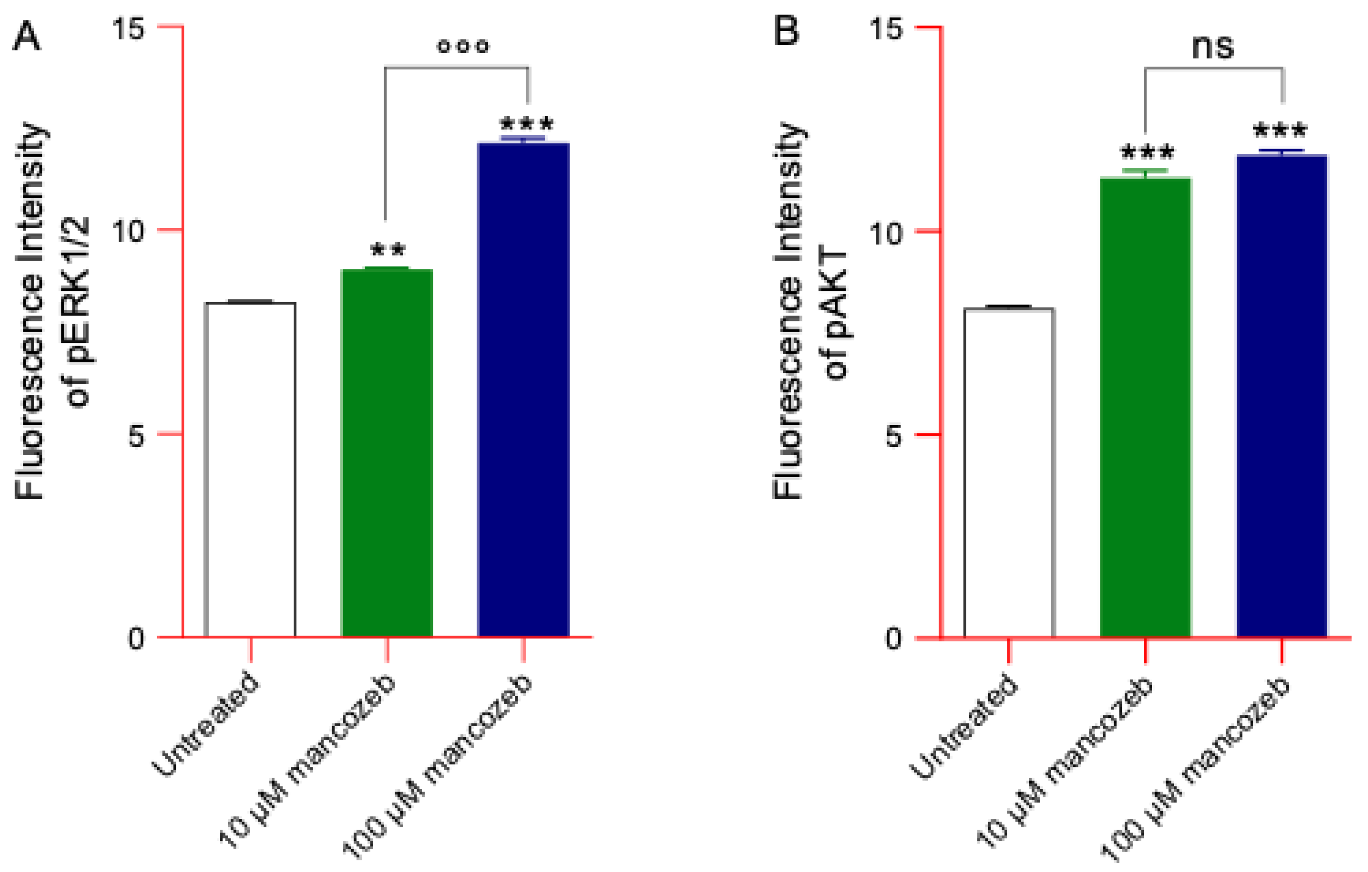 Antioxidants 14 01274 g015 Antioxidants 14 01274 g015