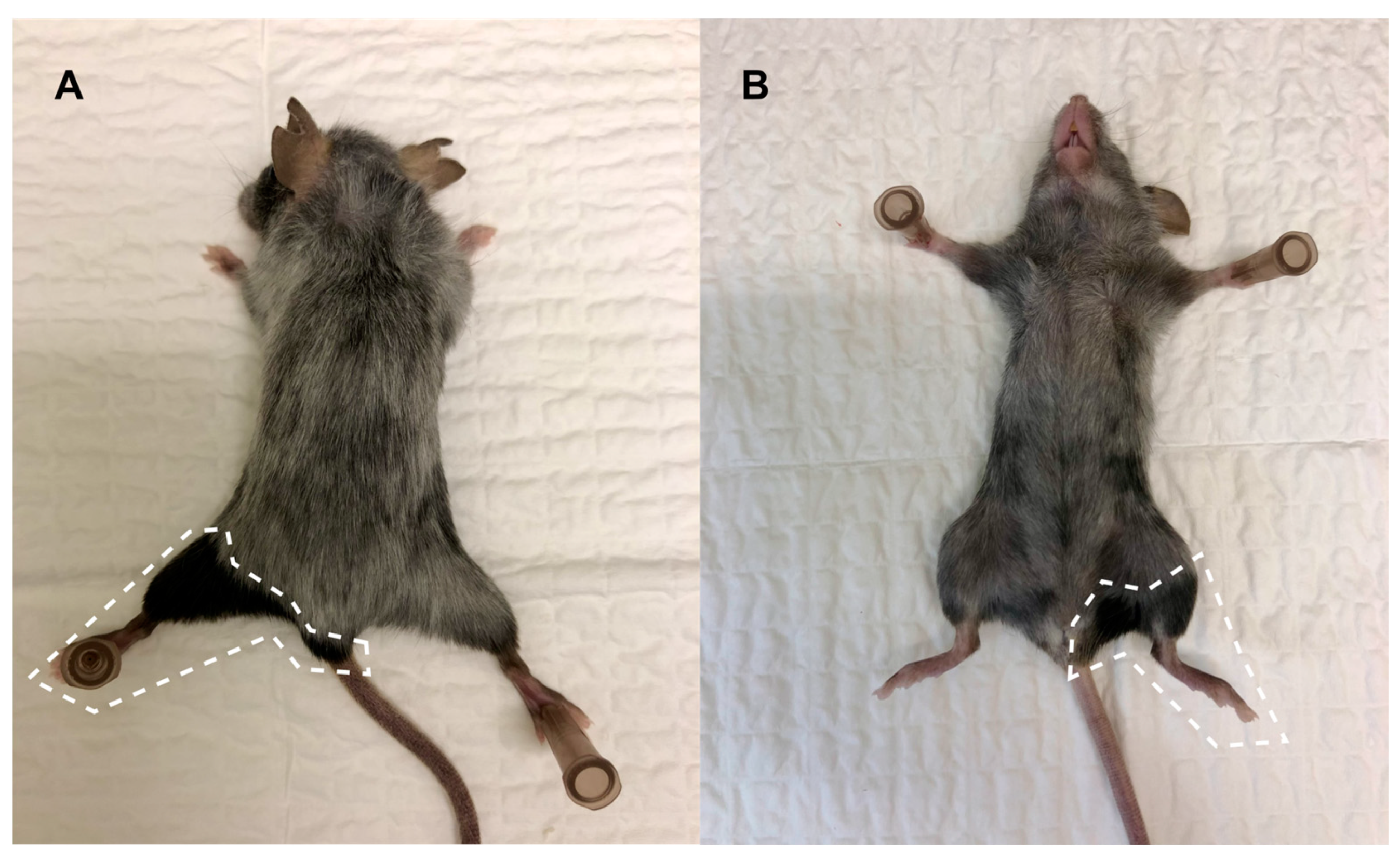 Applbiosci 03 00011 g008