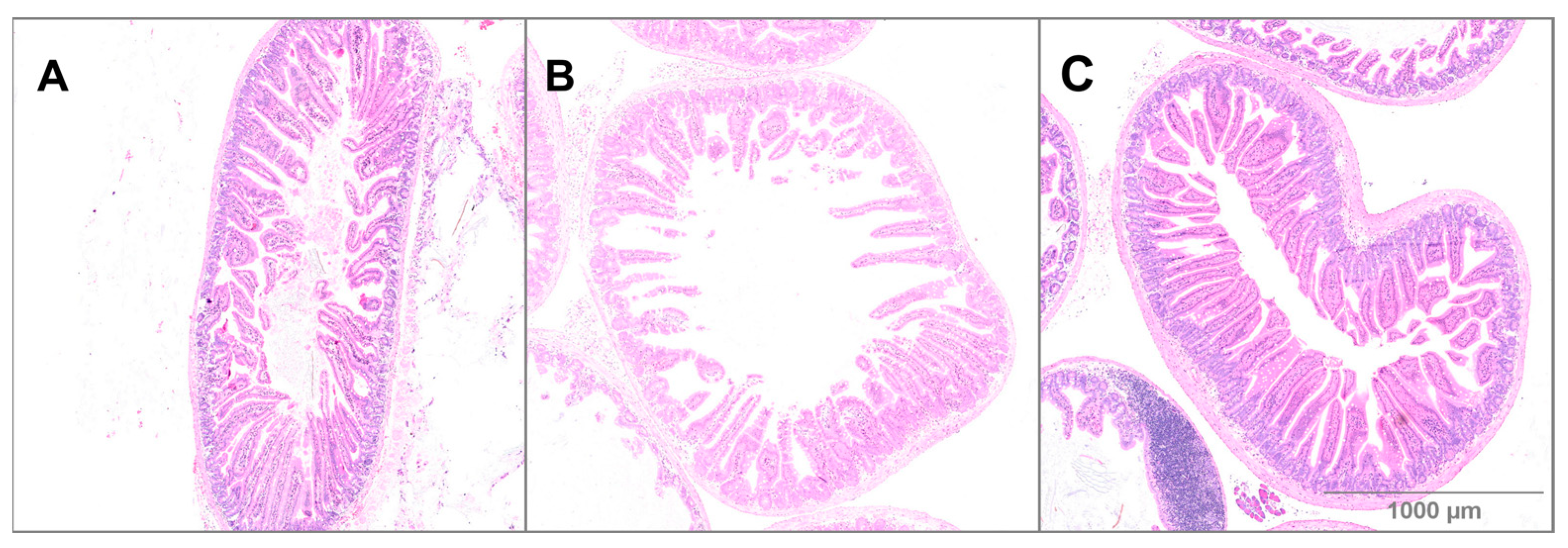 Applbiosci 03 00011 g011