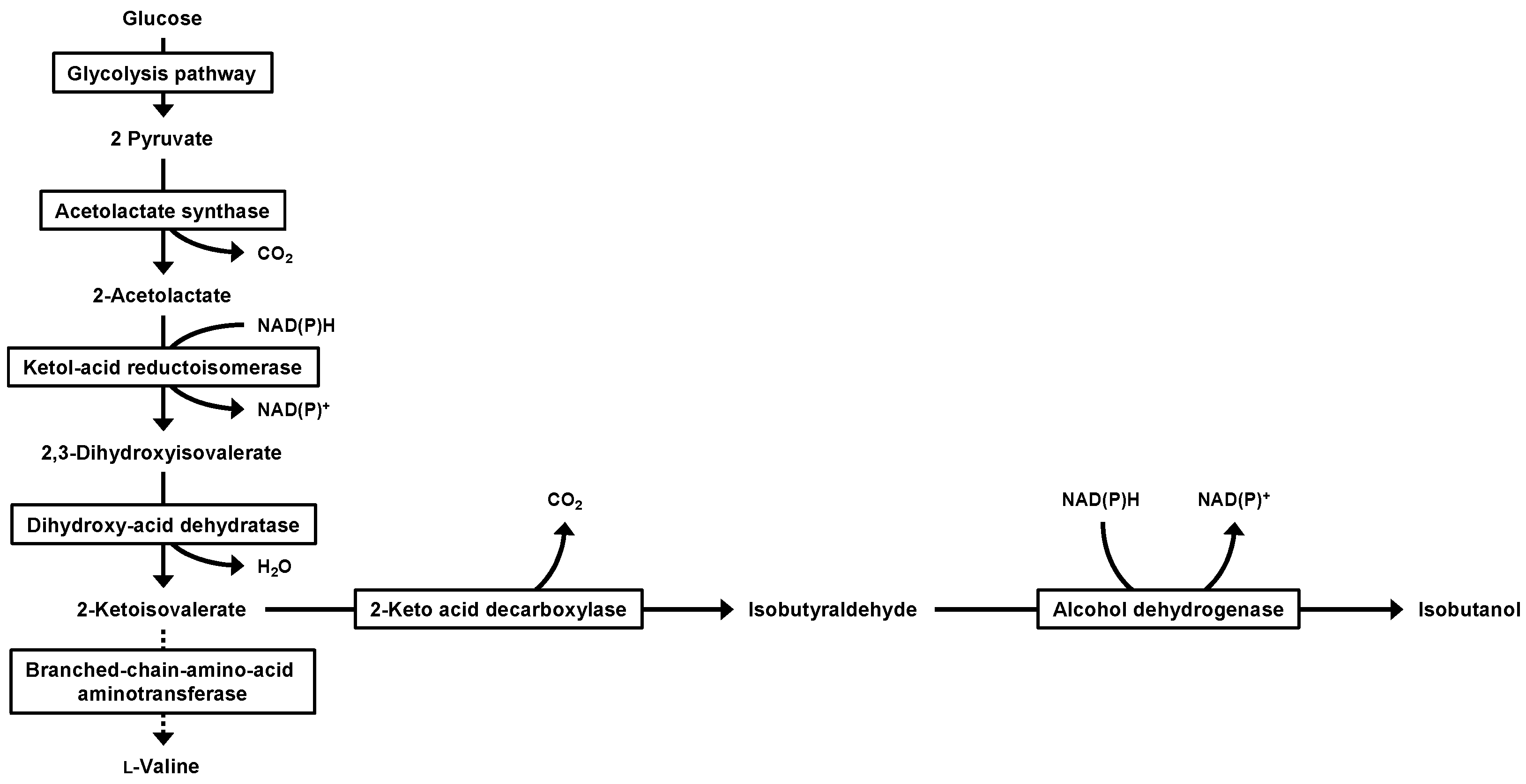 Applbiosci 03 00020 g001