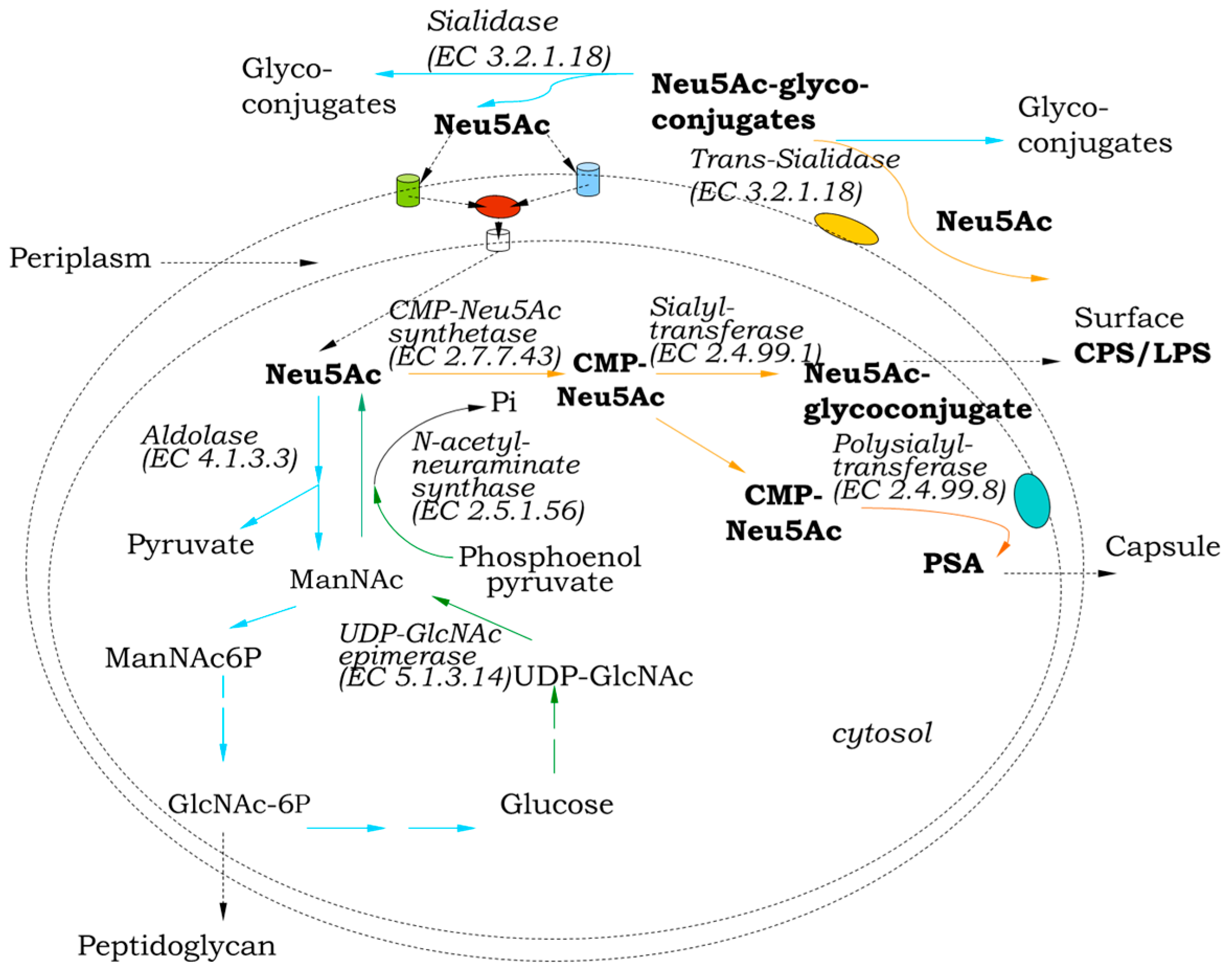 Applbiosci 04 00017 g003