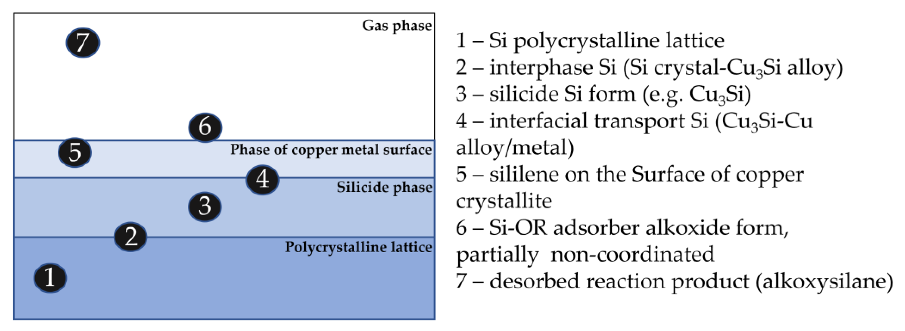 Appliedchem 03 00007 g012