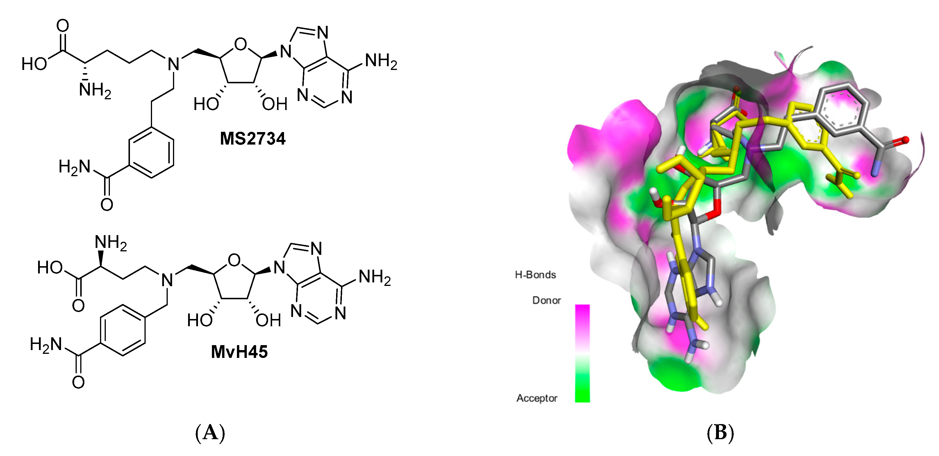 Appliedchem 03 00032 g004a