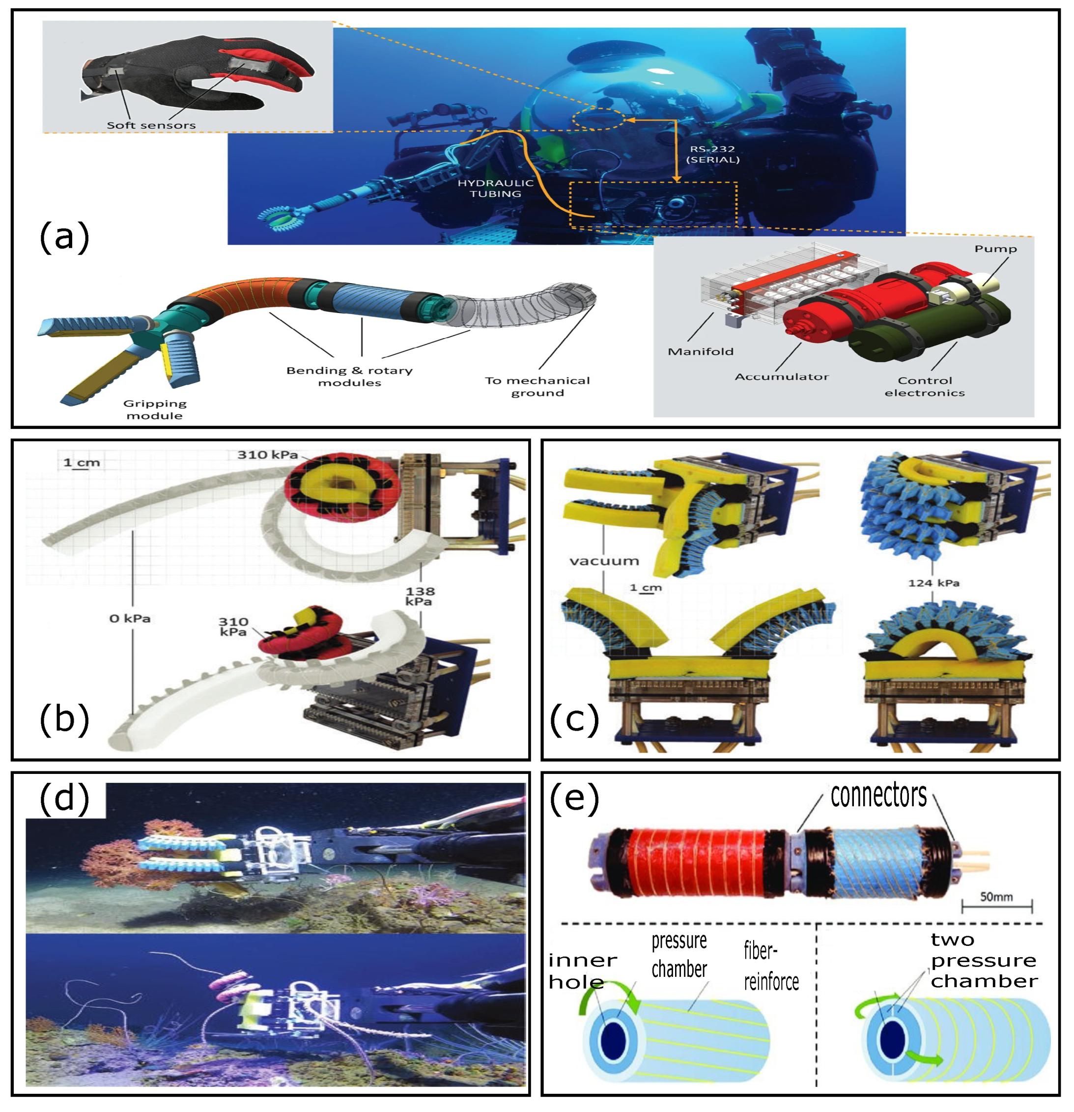 Soft robotic grippers can handle vulnerable marine life - Soft Robotics  Gripper
