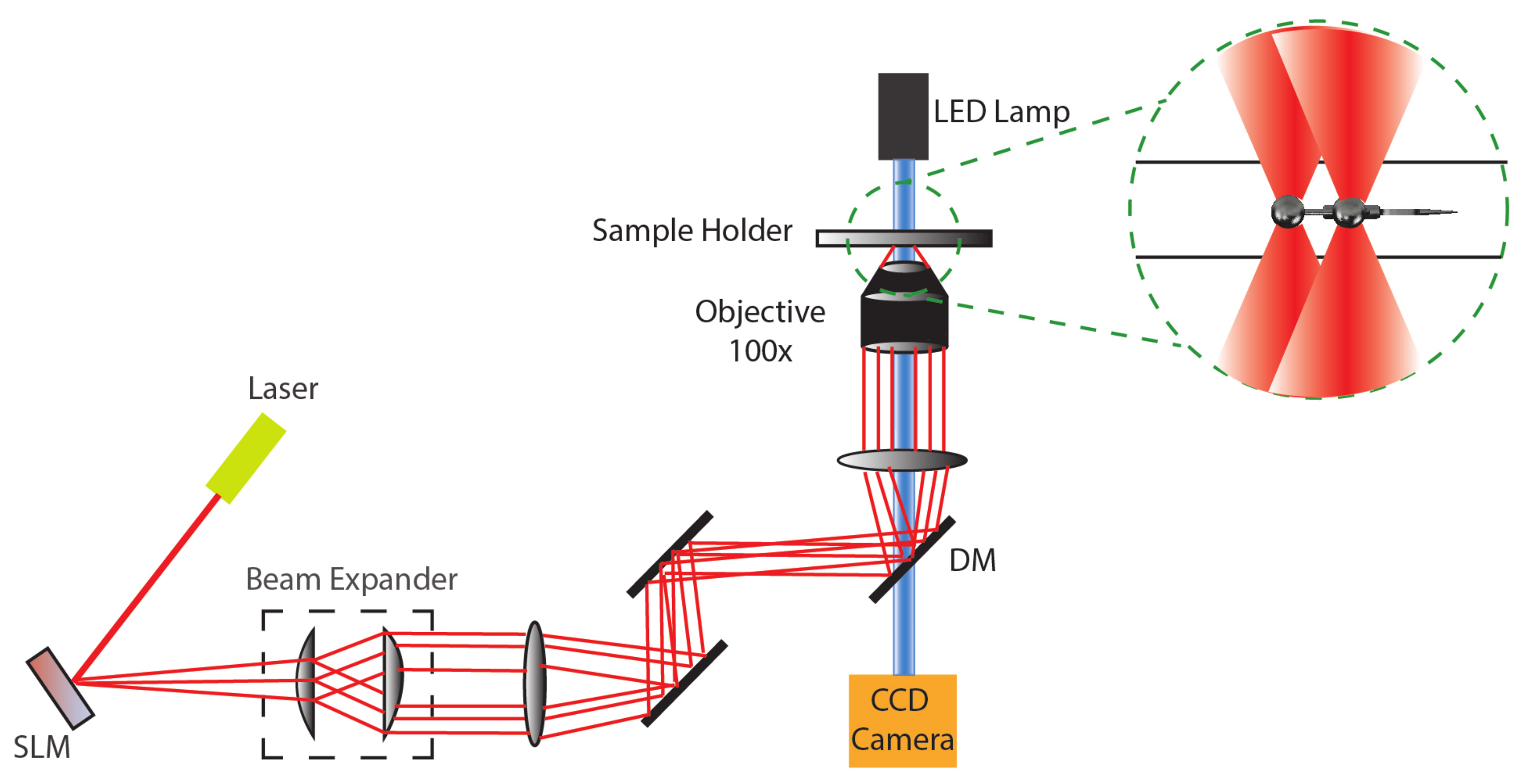 Making silicon devices responsive to infrared light, MIT News