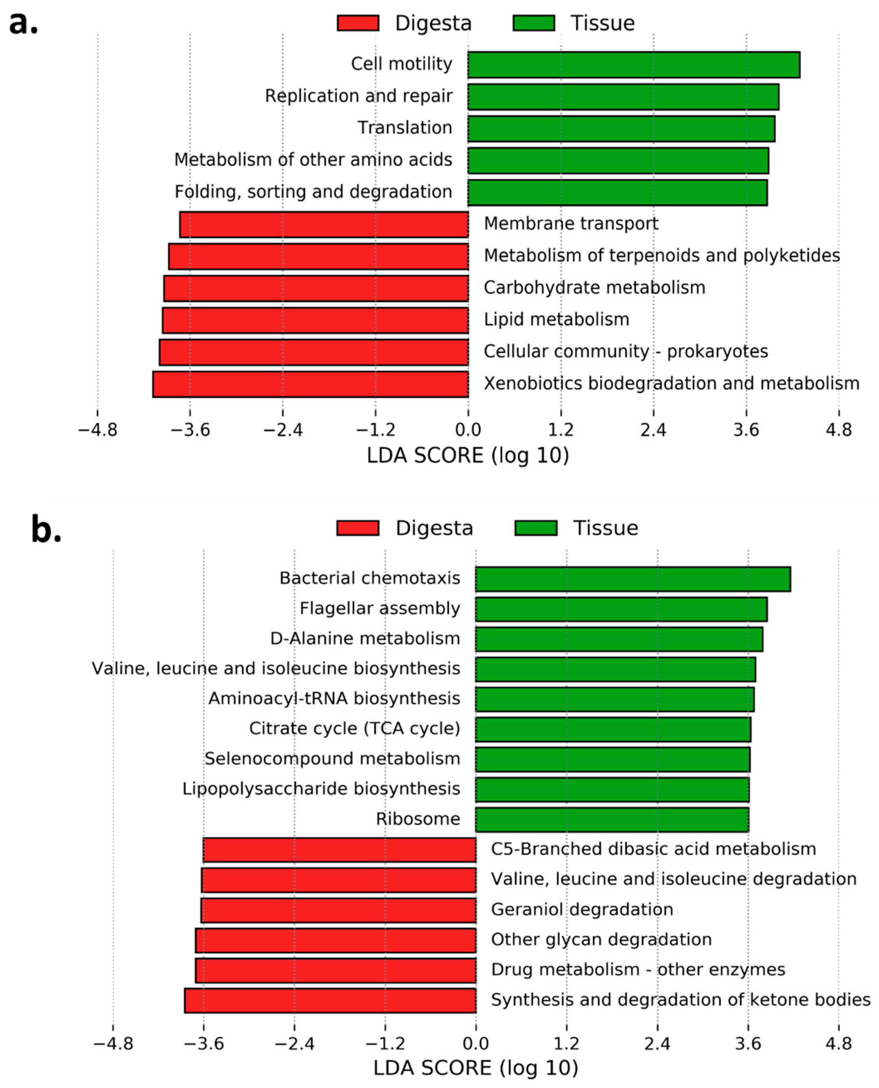 Applmicrobiol 01 00016 g007 Applmicrobiol 01 00016 g007