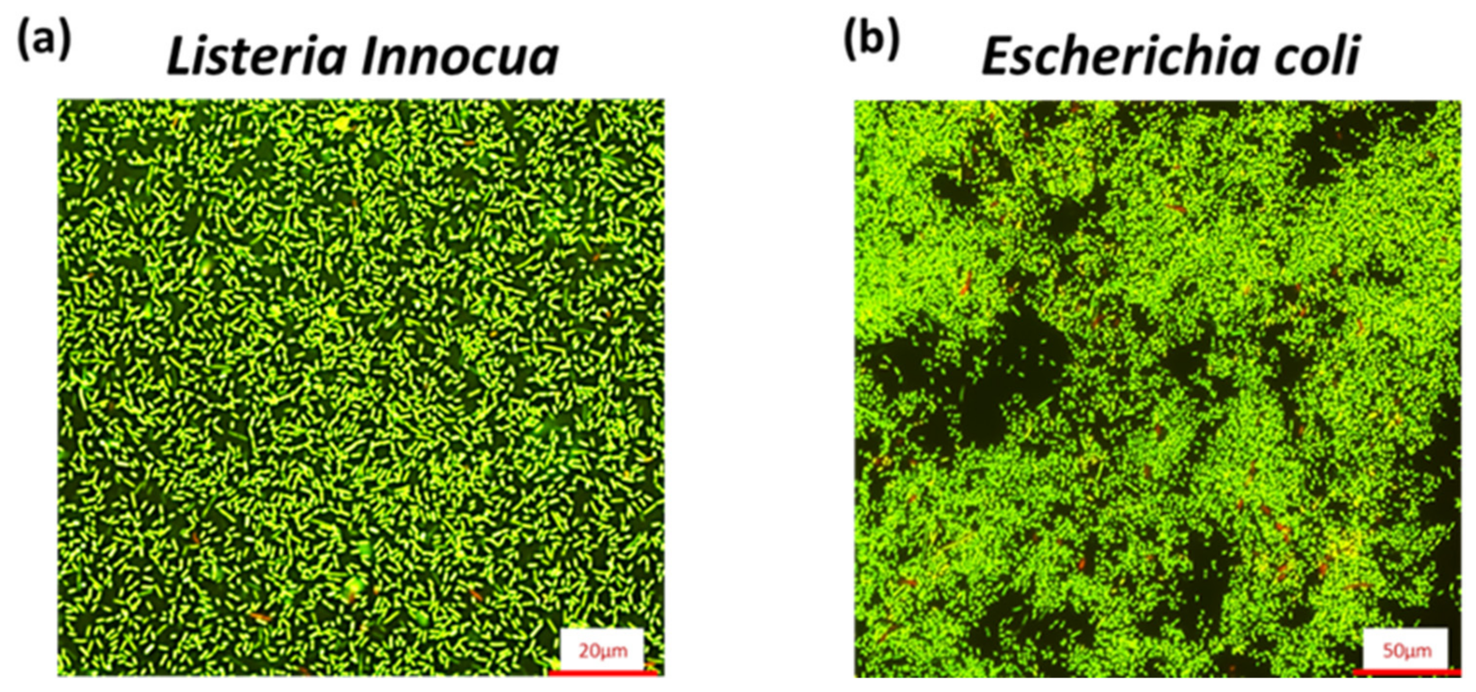 Applmicrobiol 01 00036 g005 Applmicrobiol 01 00036 g005