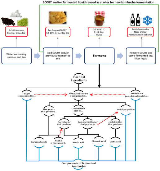 Applied Microbiology | Free Full-Text | Advances in Kombucha Tea  Fermentation: A Review | HTML