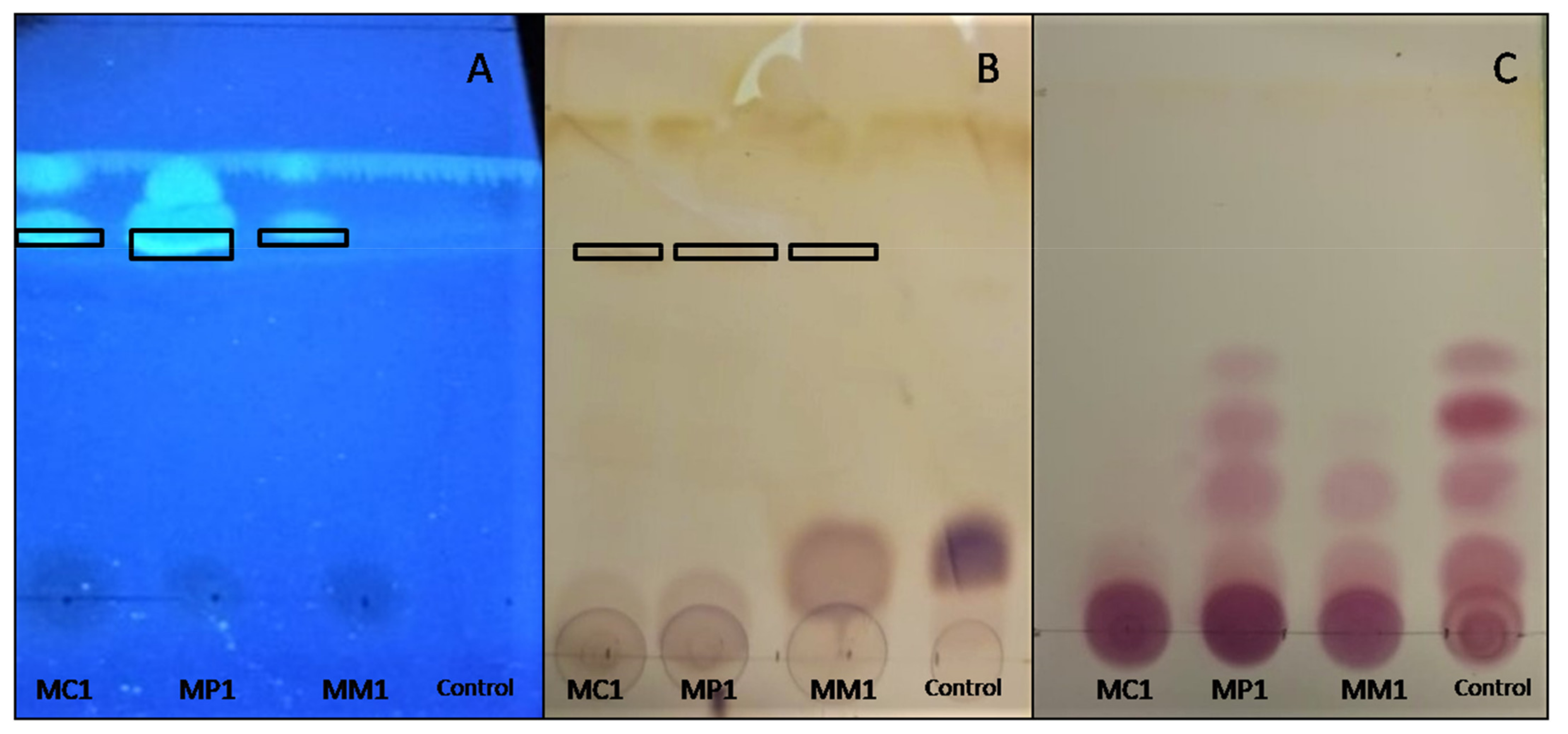 Applmicrobiol 02 00018 g003 Applmicrobiol 02 00018 g003