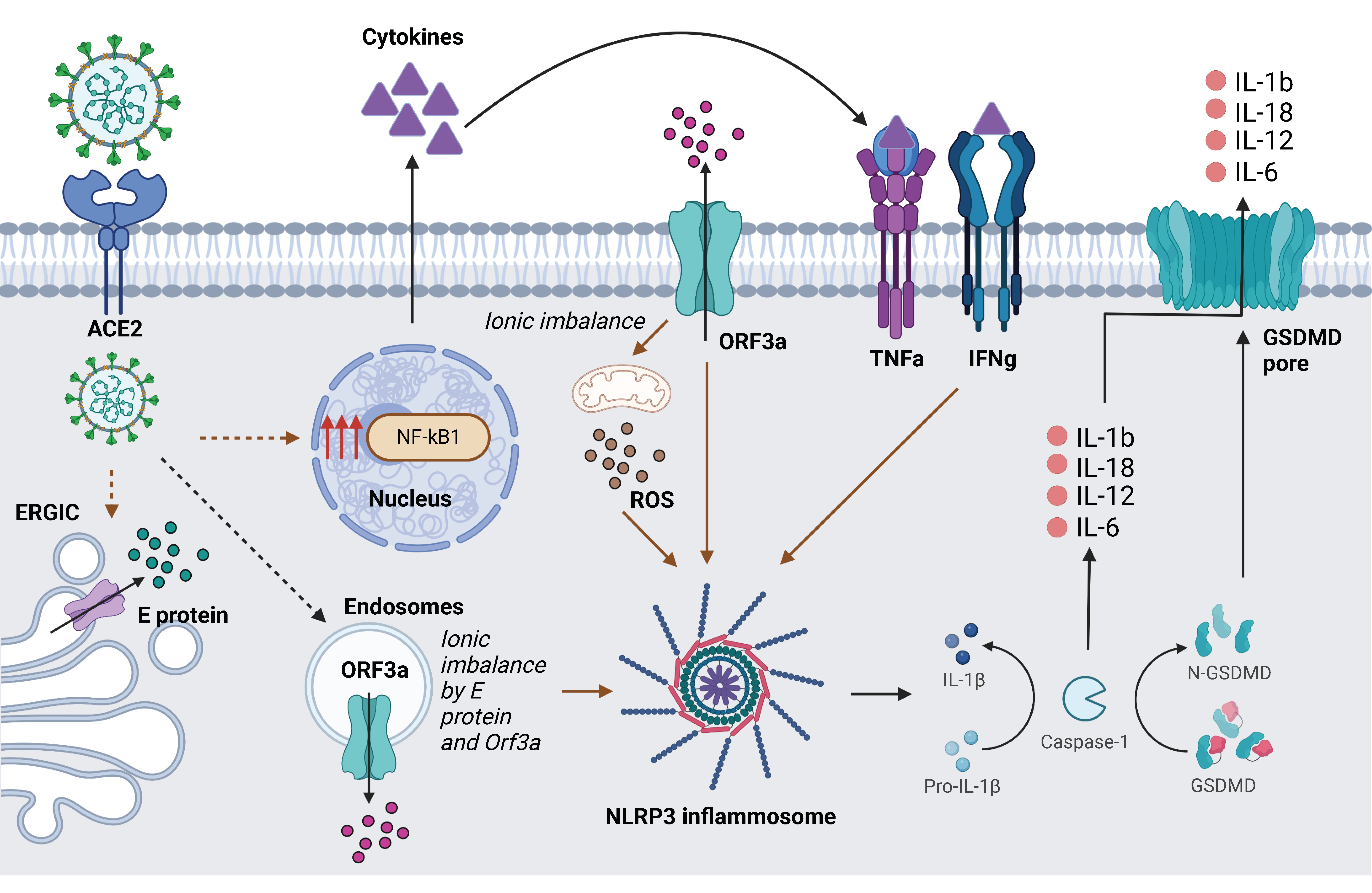 Applmicrobiol 02 00045 g006