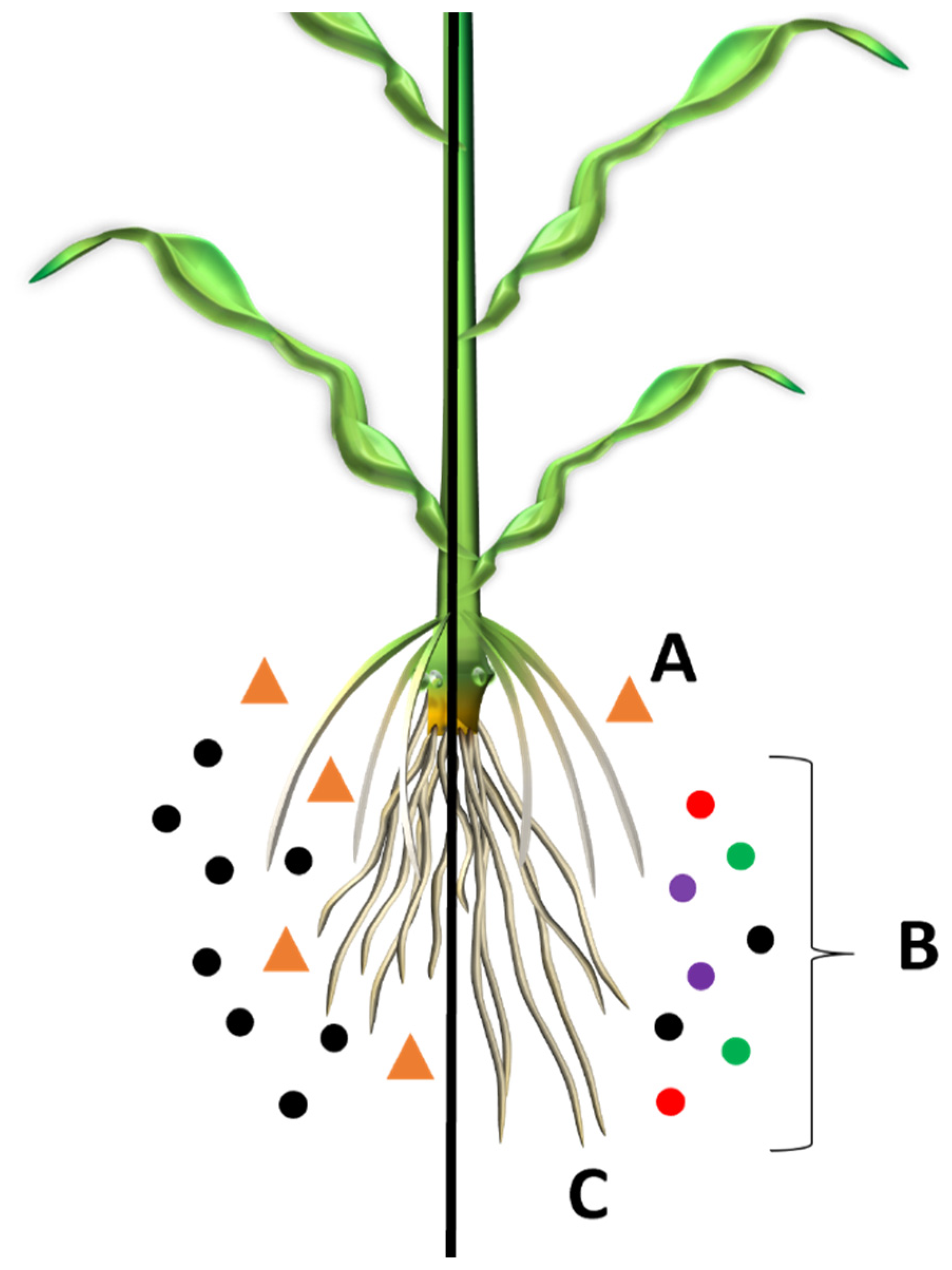 Applmicrobiol 02 00076 g002