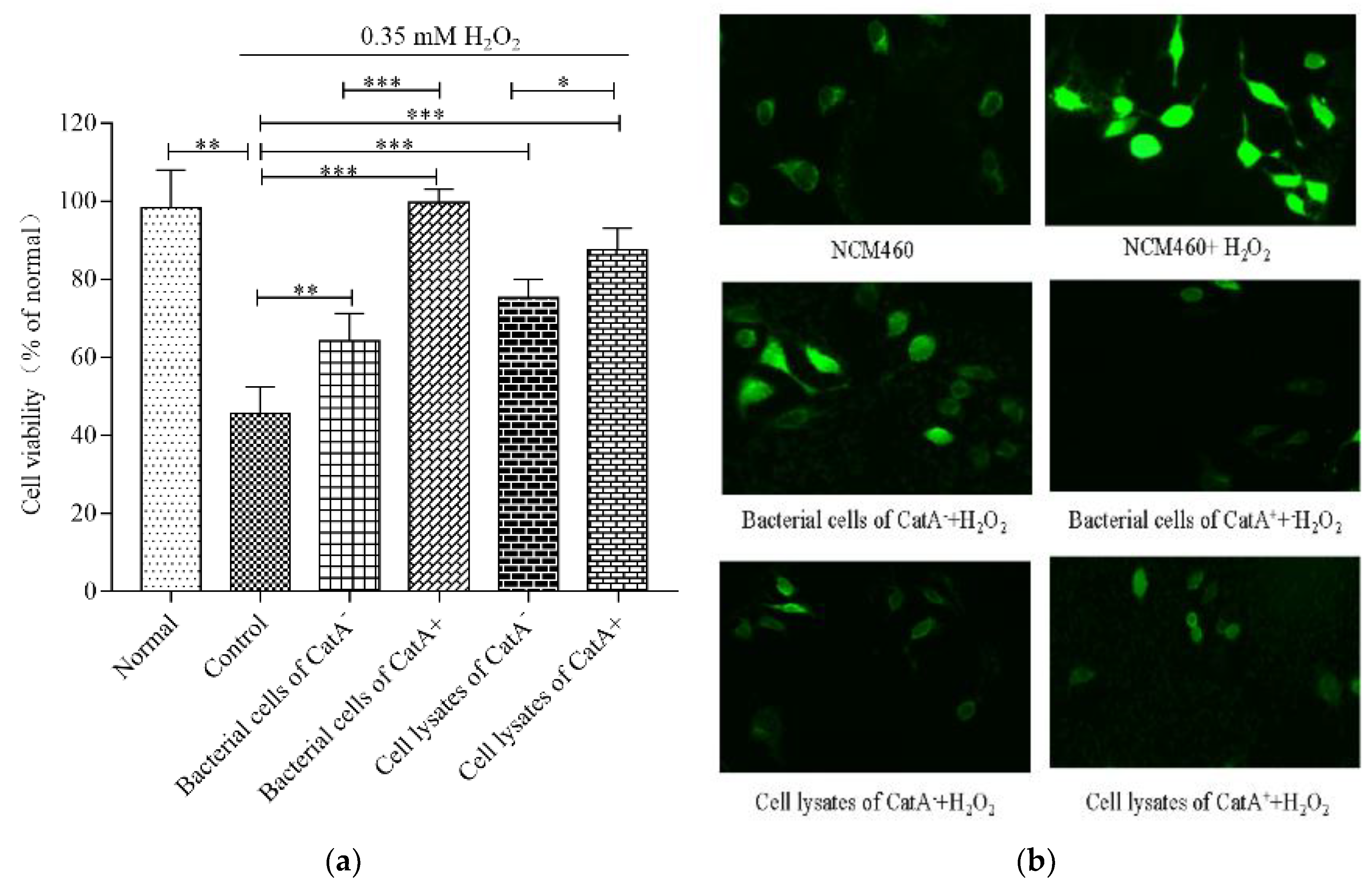 Applmicrobiol 03 00011 g002 Applmicrobiol 03 00011 g002