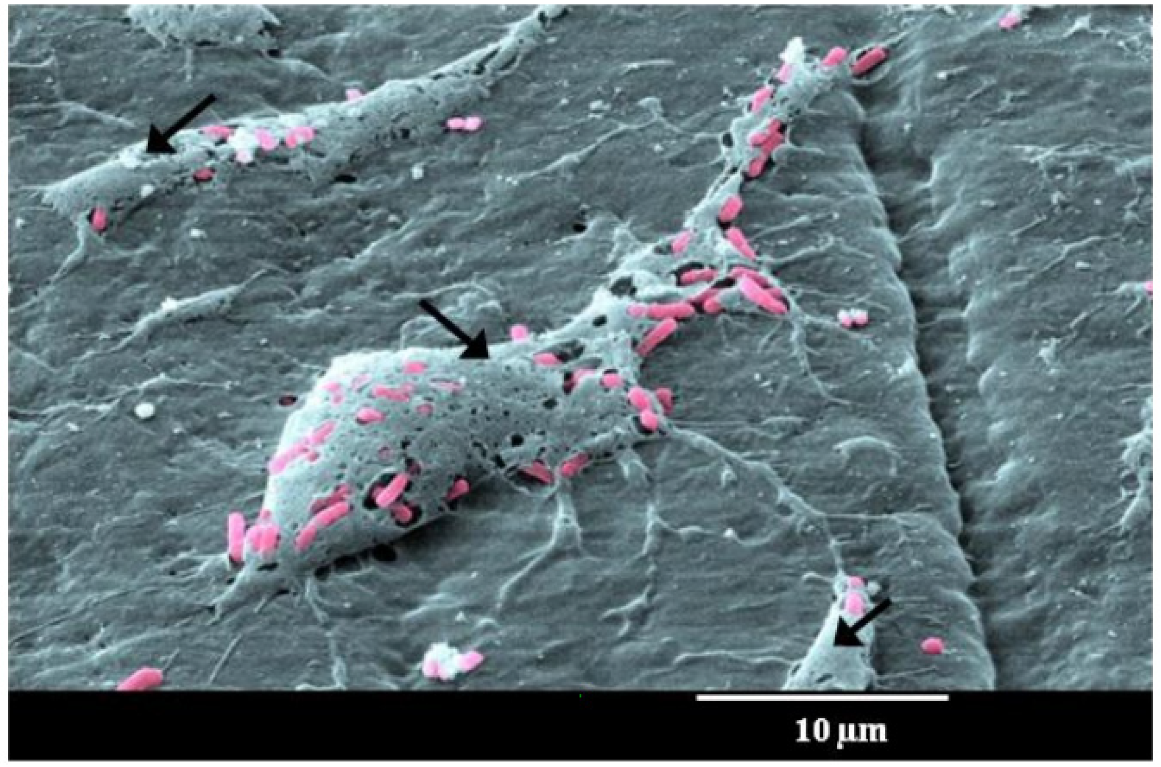 Applmicrobiol 03 00044 g002