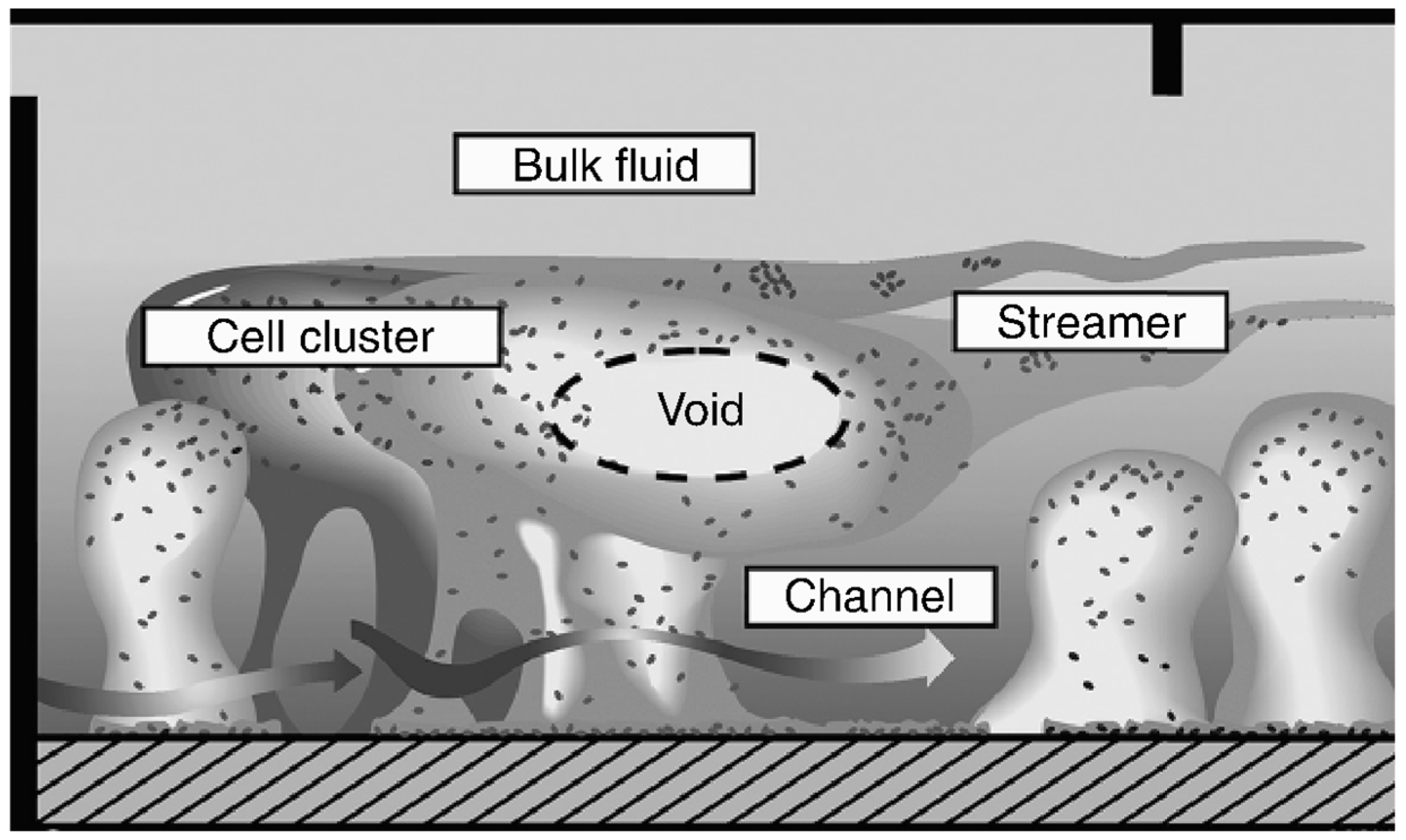 Applmicrobiol 03 00044 g003
