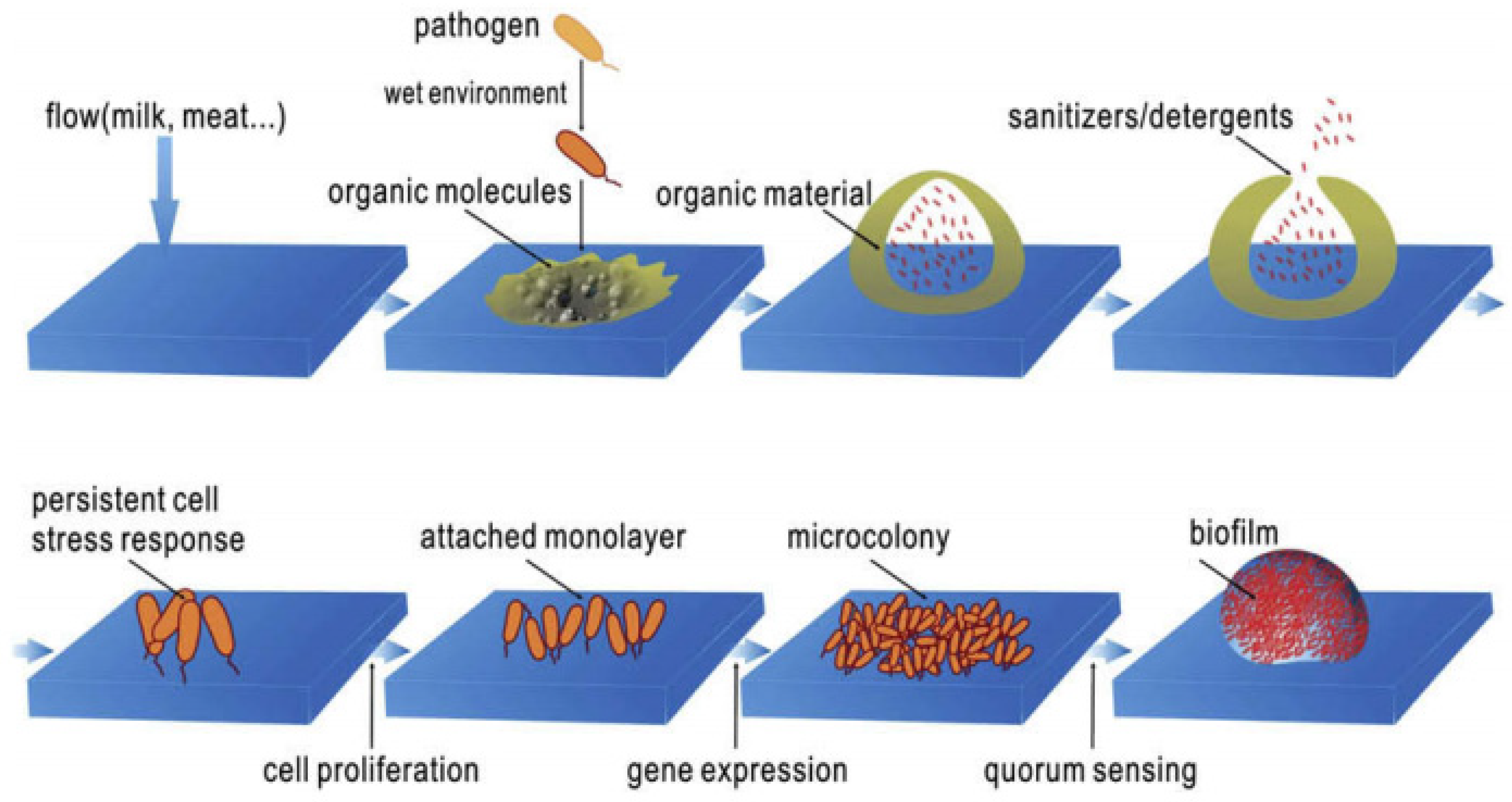 Applmicrobiol 03 00044 g005