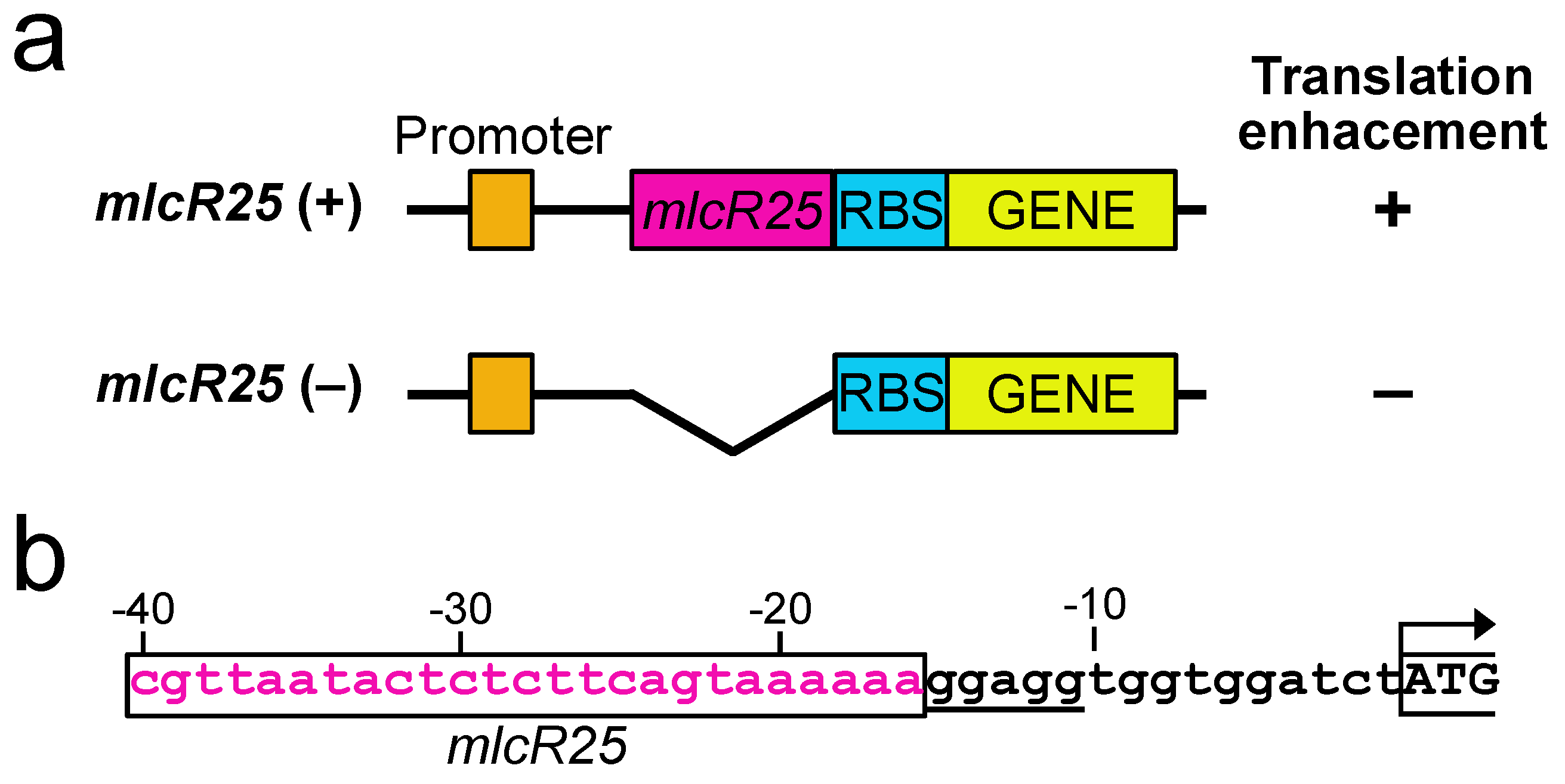 Applmicrobiol 03 00047 g001