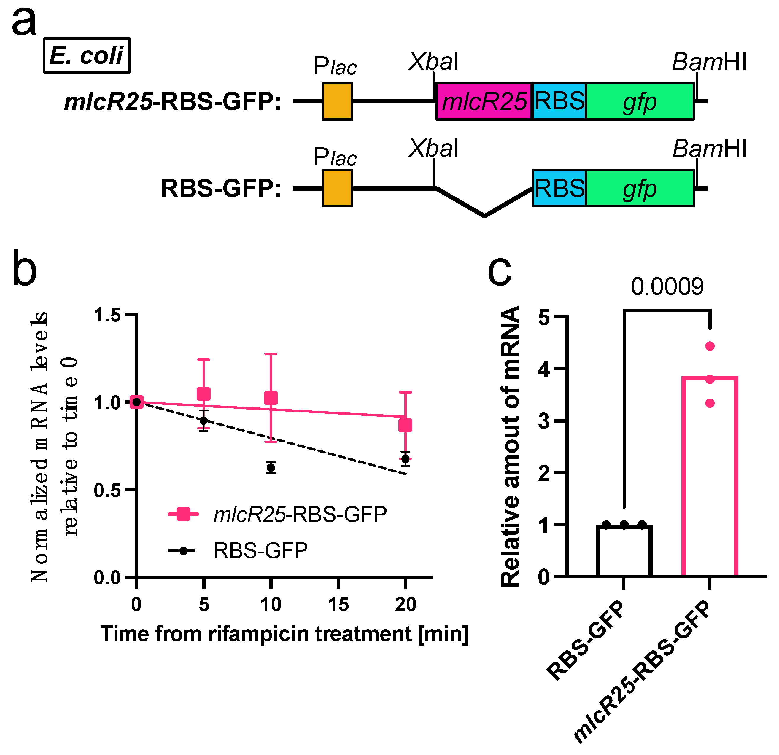 Applmicrobiol 03 00047 g002