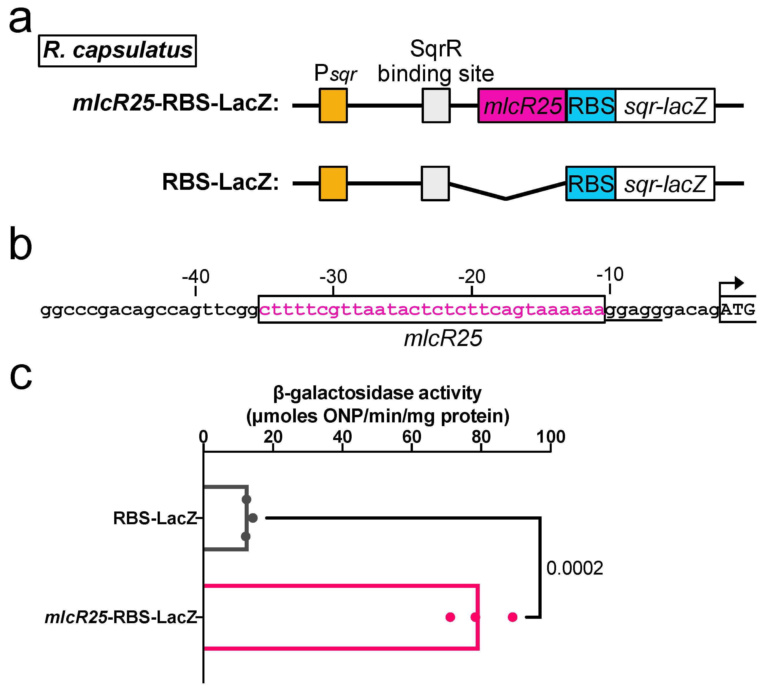 Applmicrobiol 03 00047 g004