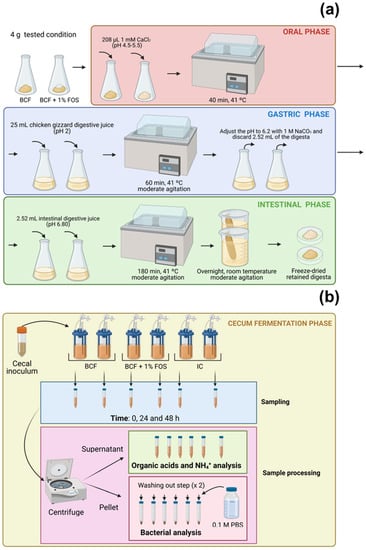 Applied Microbiology | Free Full-Text | Development of a Chicken ...