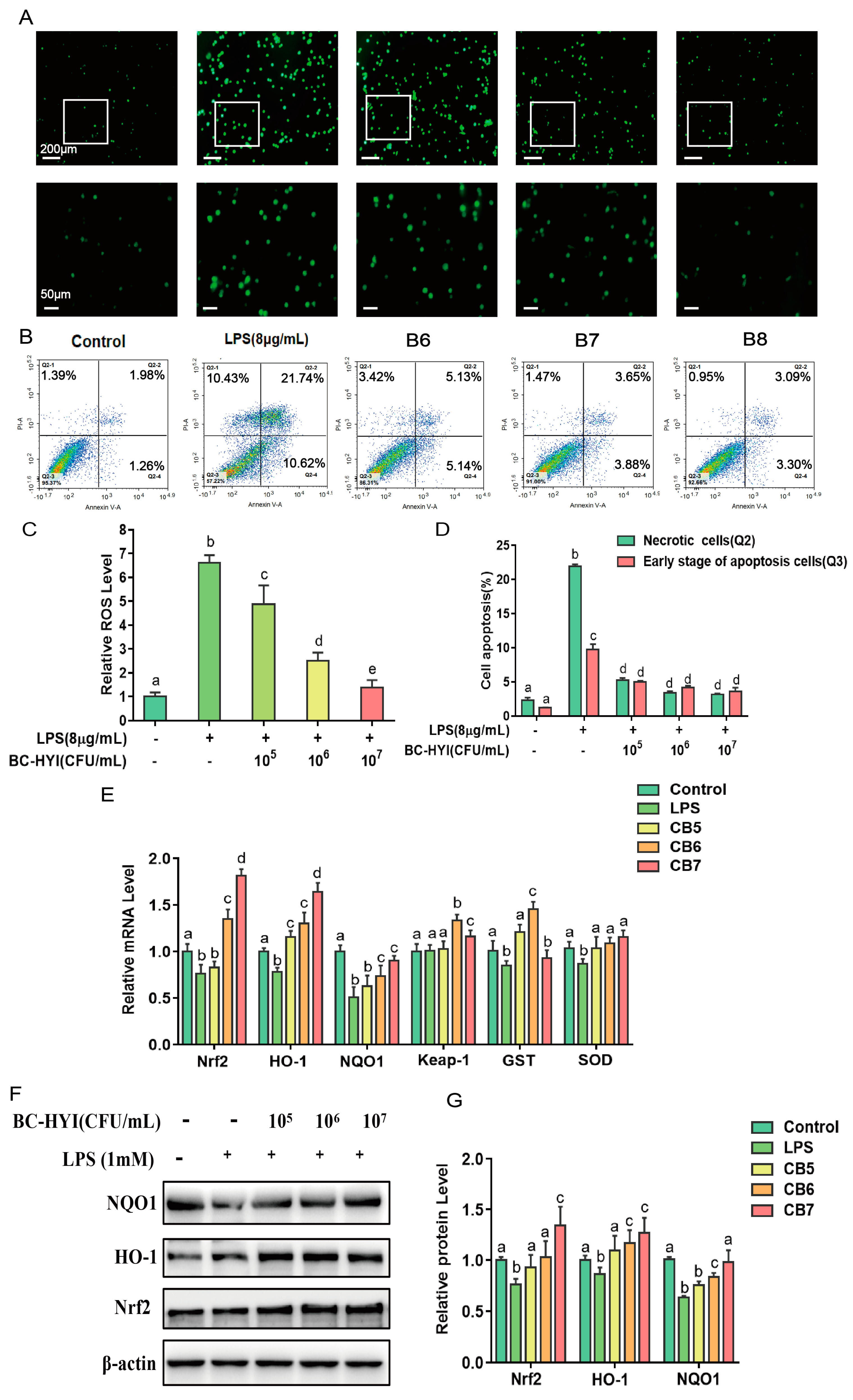 Applmicrobiol 03 00081 g005