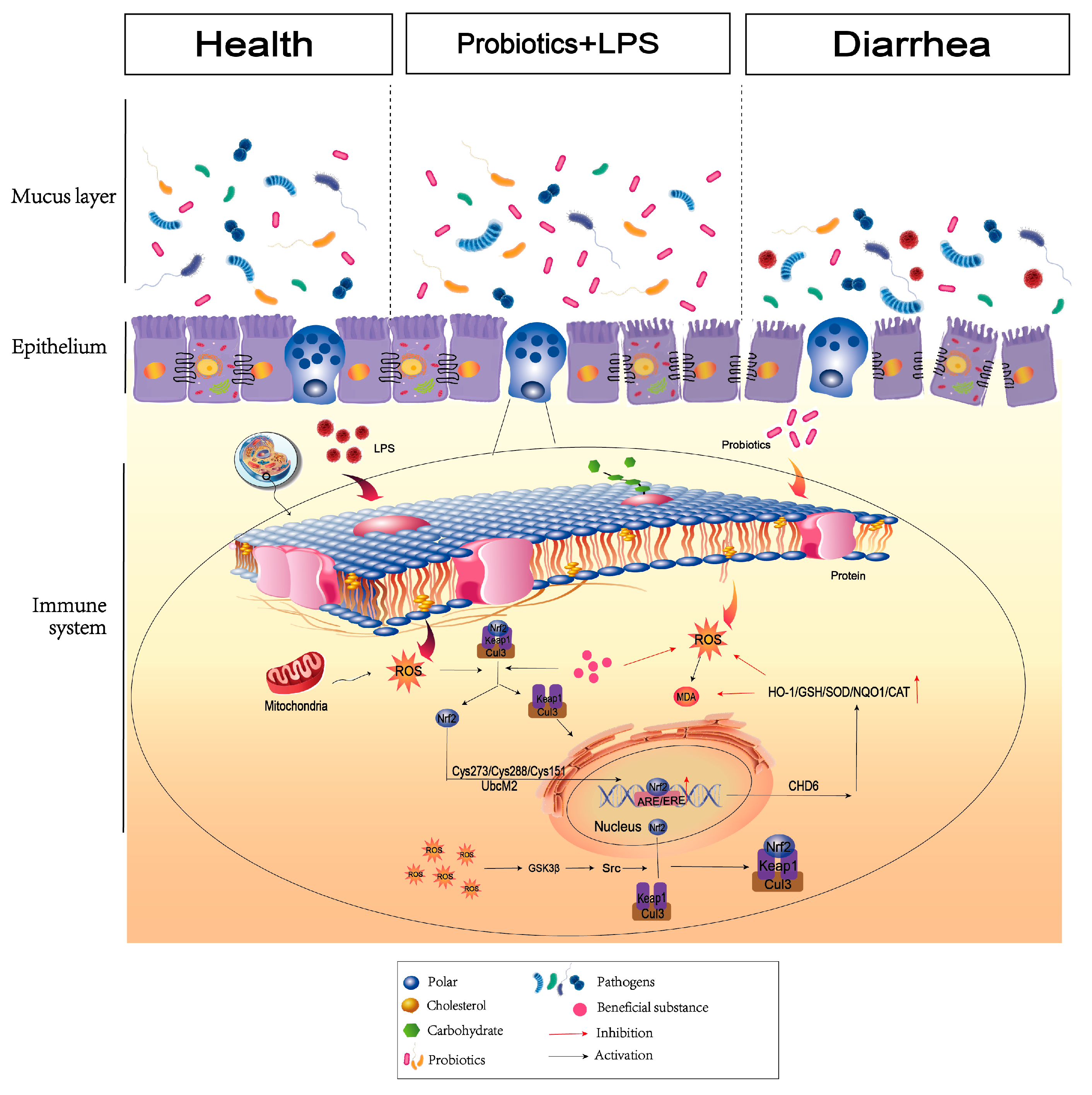 Applmicrobiol 03 00081 g006