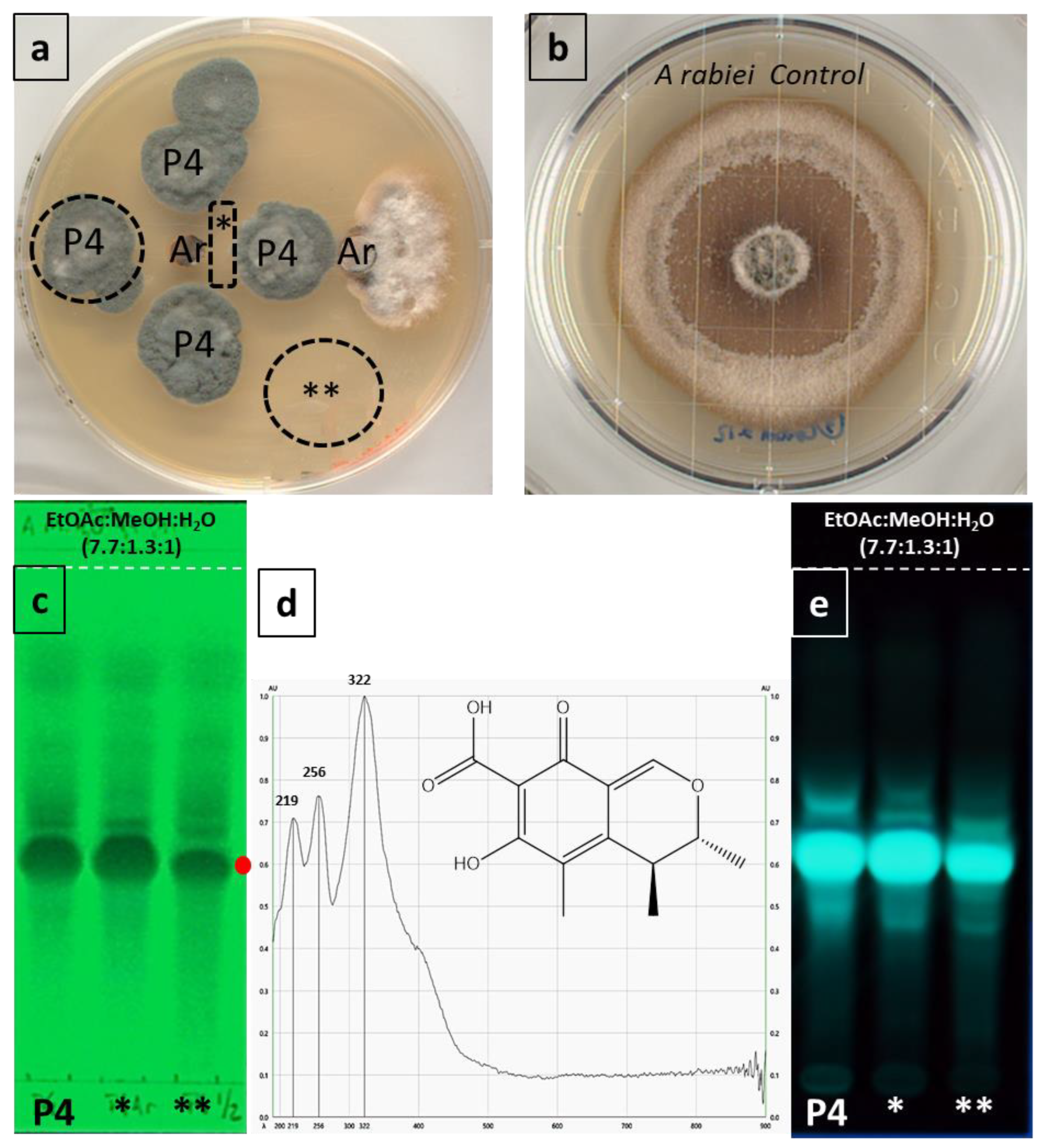 Applmicrobiol 04 00052 g004 Applmicrobiol 04 00052 g004