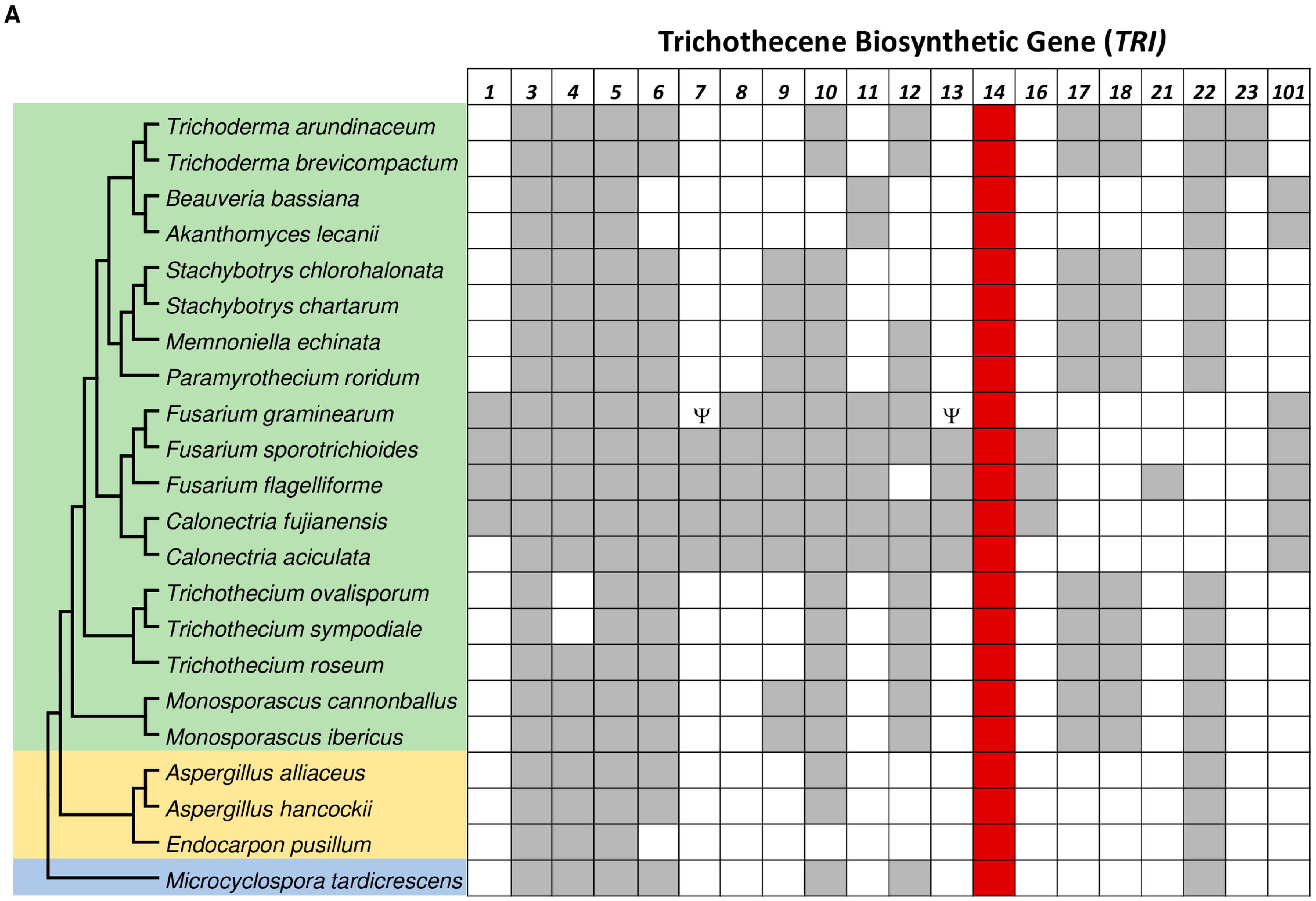 Applmicrobiol 04 00058 g001a