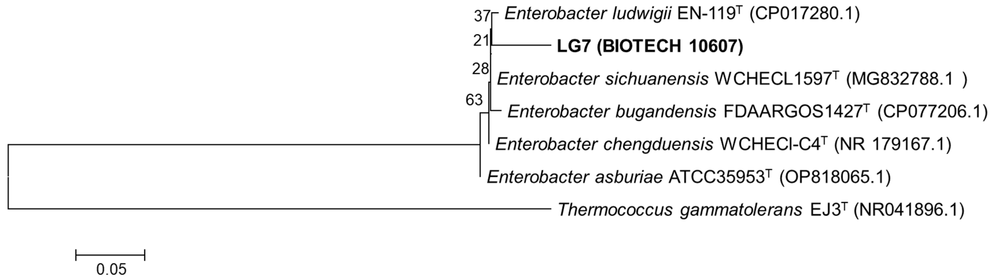 Applmicrobiol 04 00080 g001 Applmicrobiol 04 00080 g001