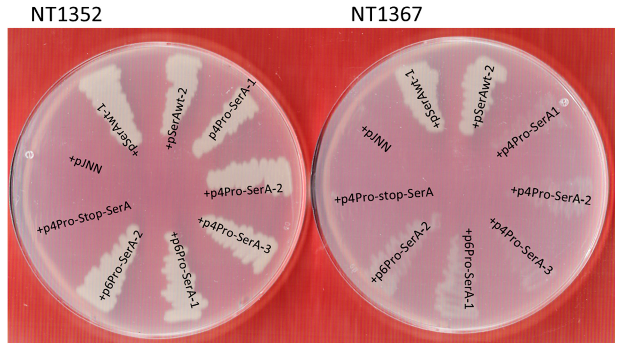 Applmicrobiol 04 00092 g001
