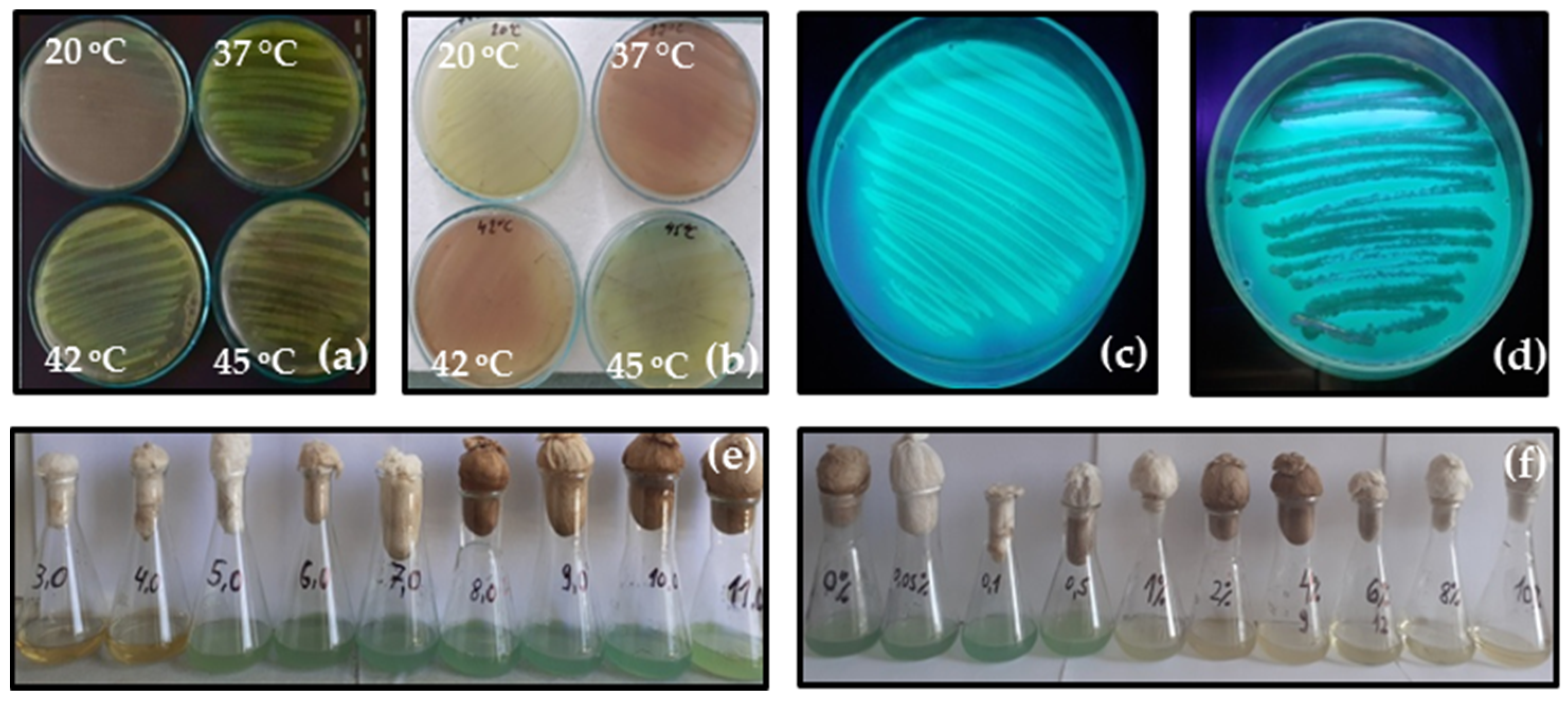 Applmicrobiol 04 00096 g004 Applmicrobiol 04 00096 g004