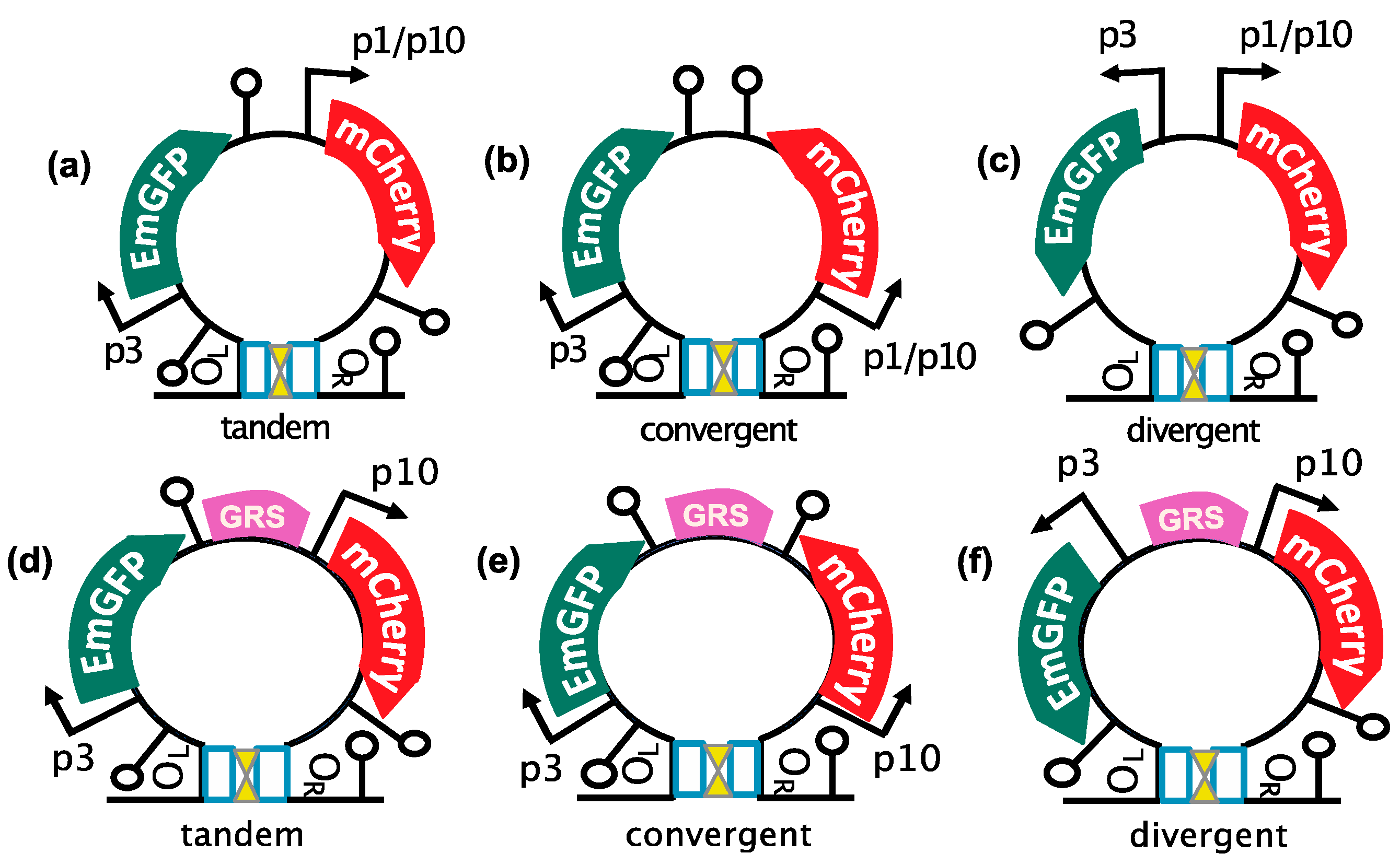 Applmicrobiol 05 00017 g004a Applmicrobiol 05 00017 g004a