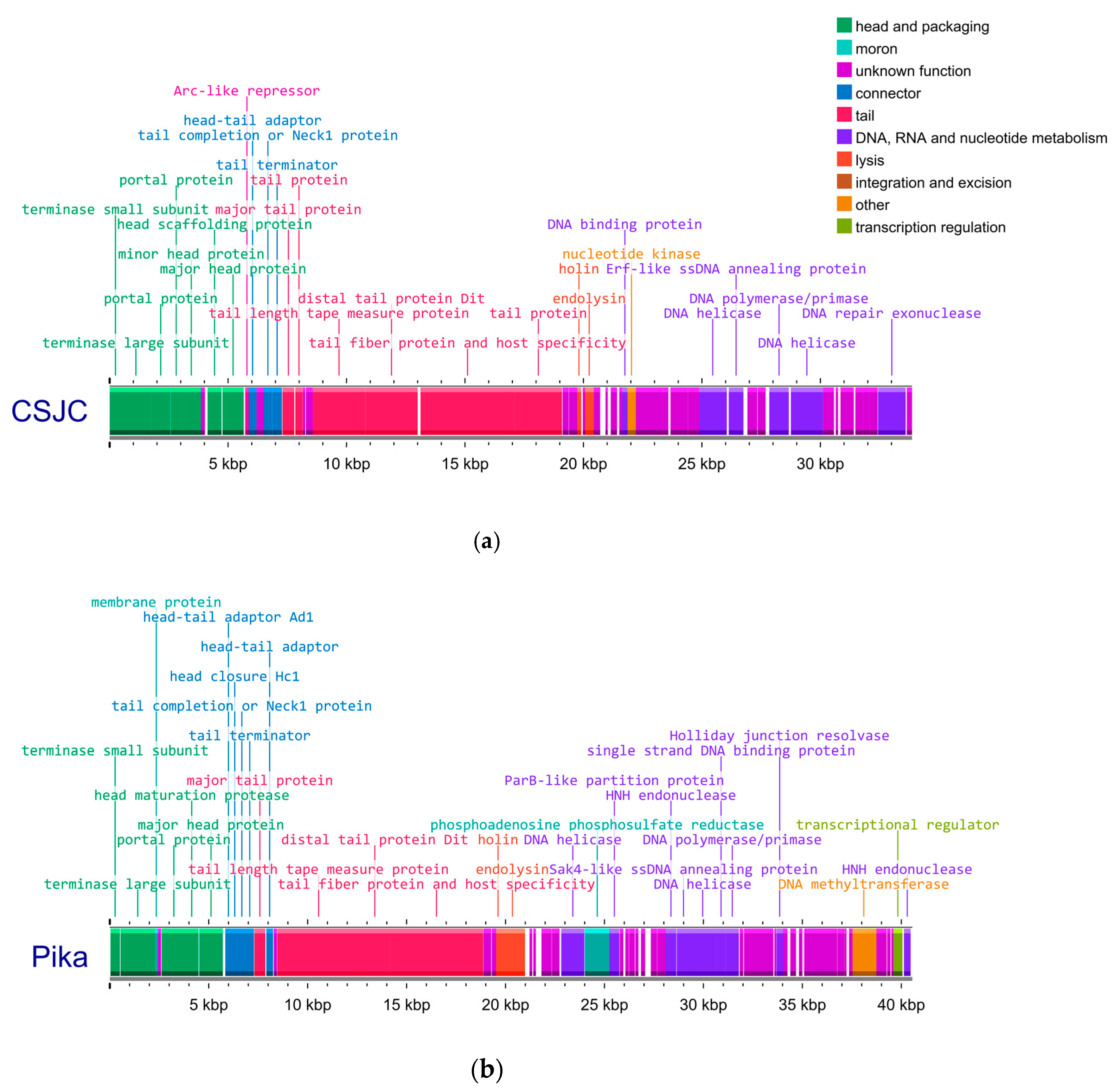 Applmicrobiol 05 00028 g001a